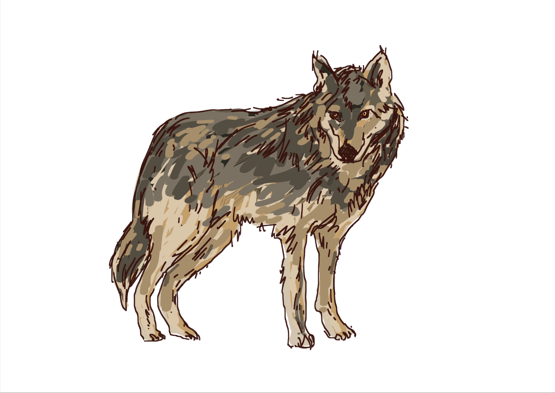 Le loup et moi