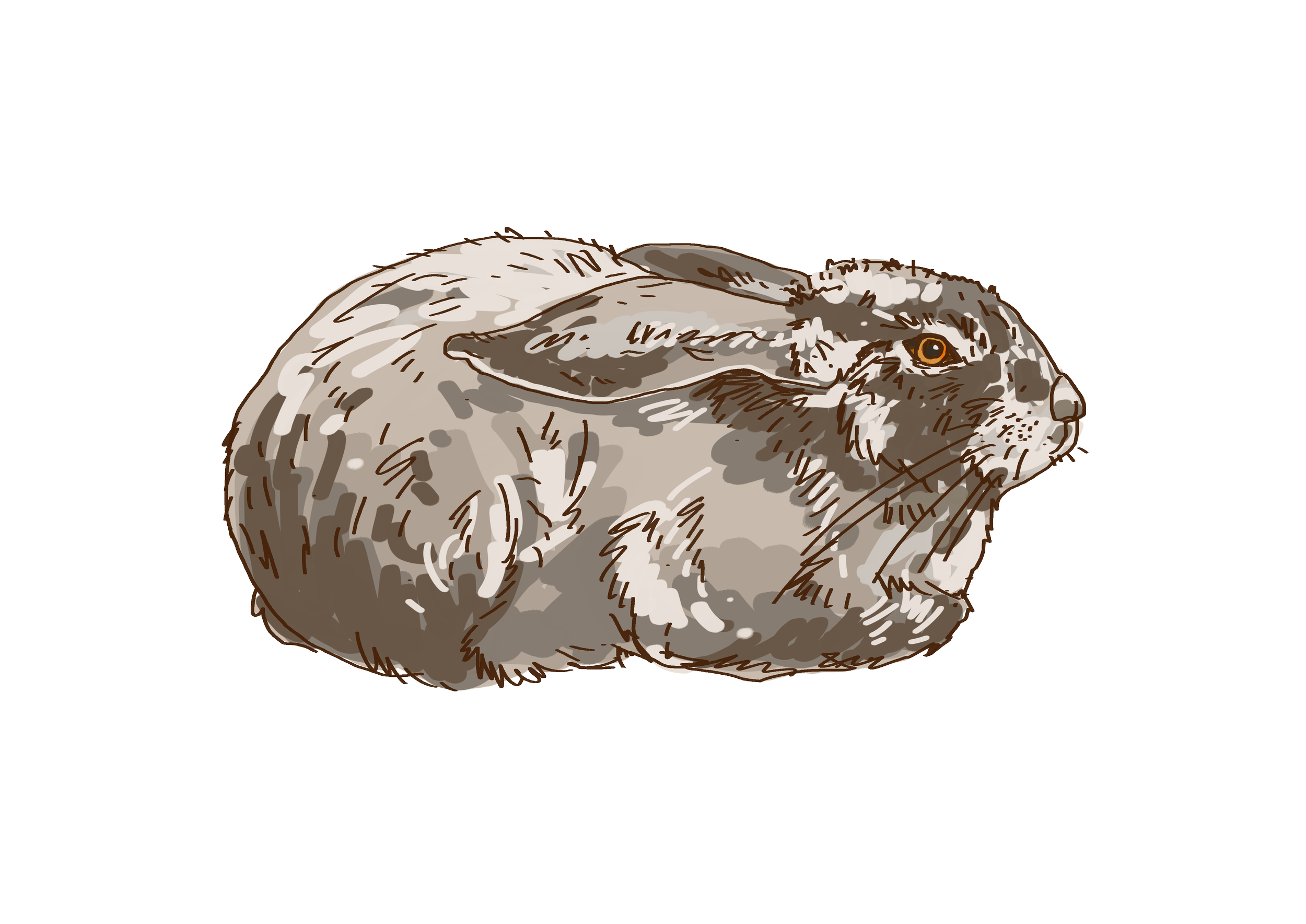 Ouverture de l'exposition “À poils ! “