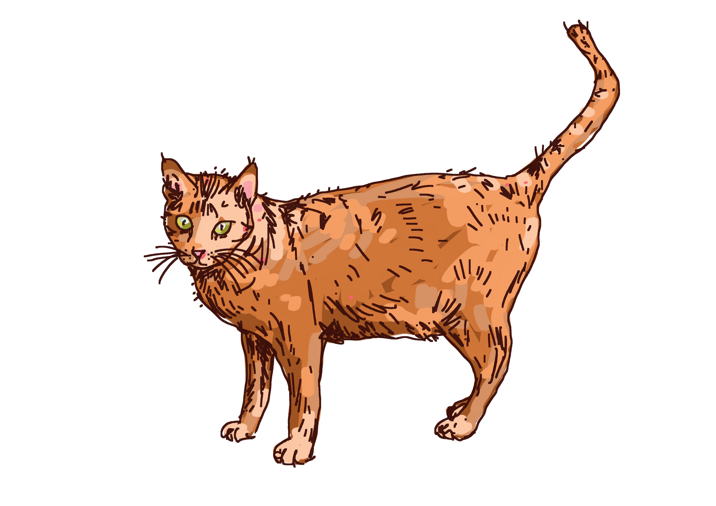 Portrait de ton animal de compagnie