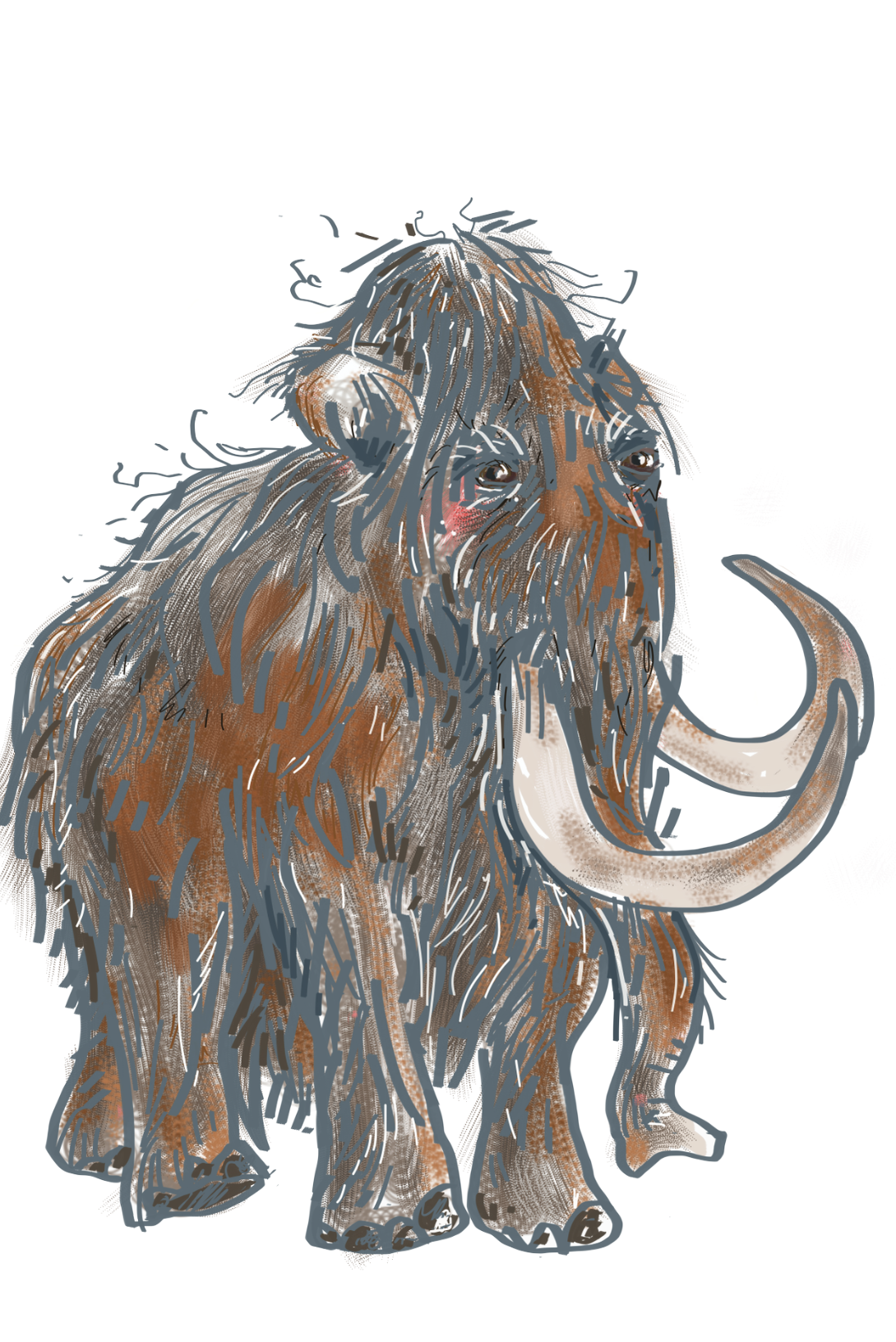 Visite guidée tout public de l’exposition «À poils»