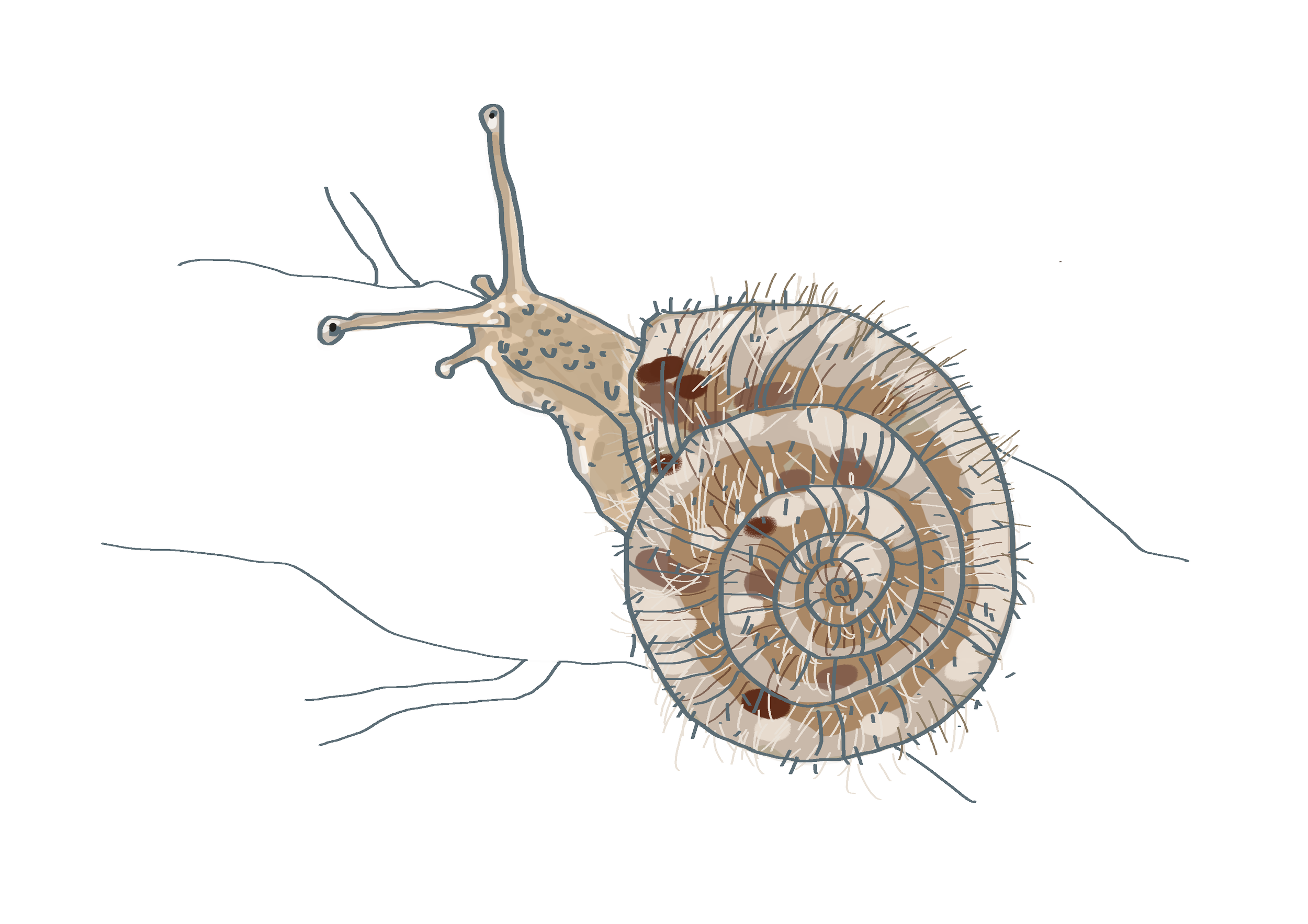 Après-midi ludique avec les jeux des précédentes expositions