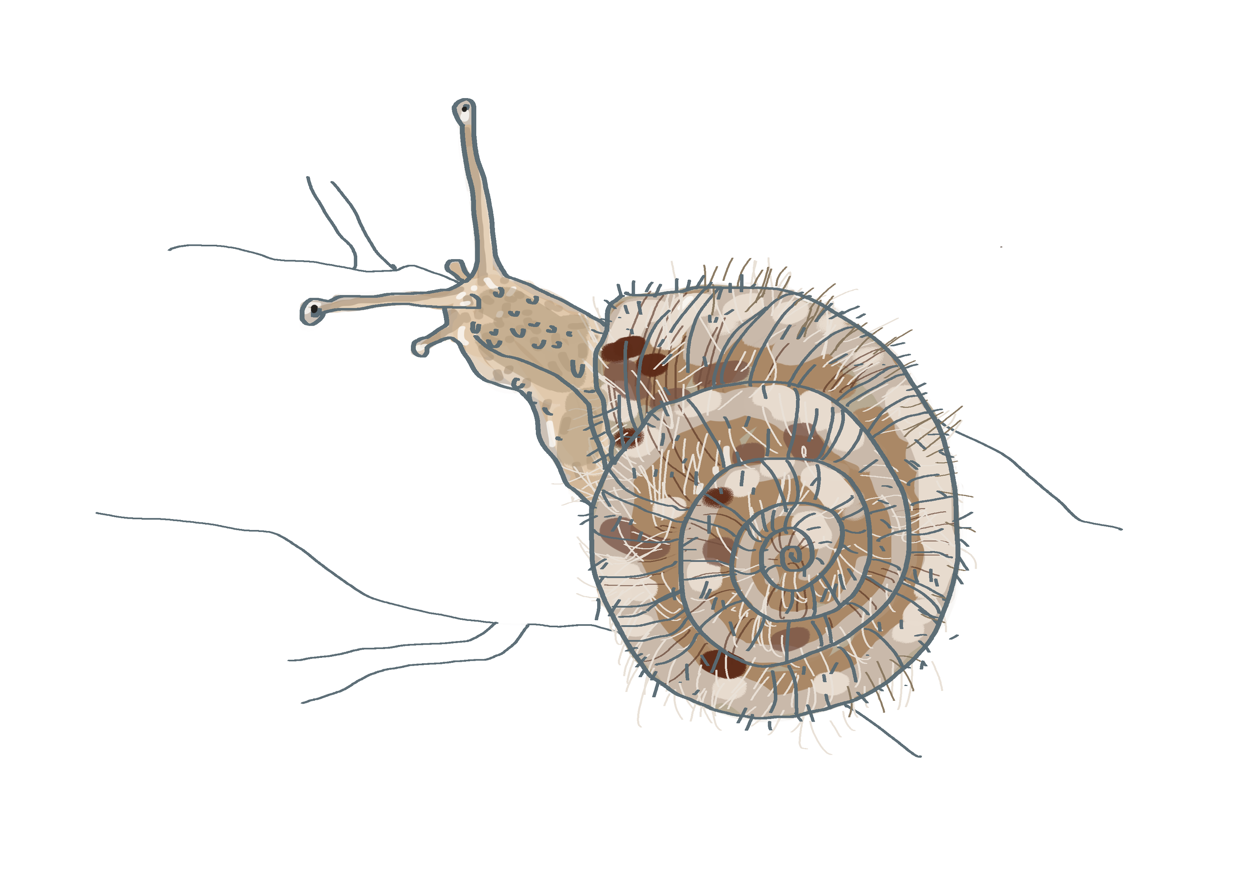 Après-midi ludique avec les jeux des précédentes expositions