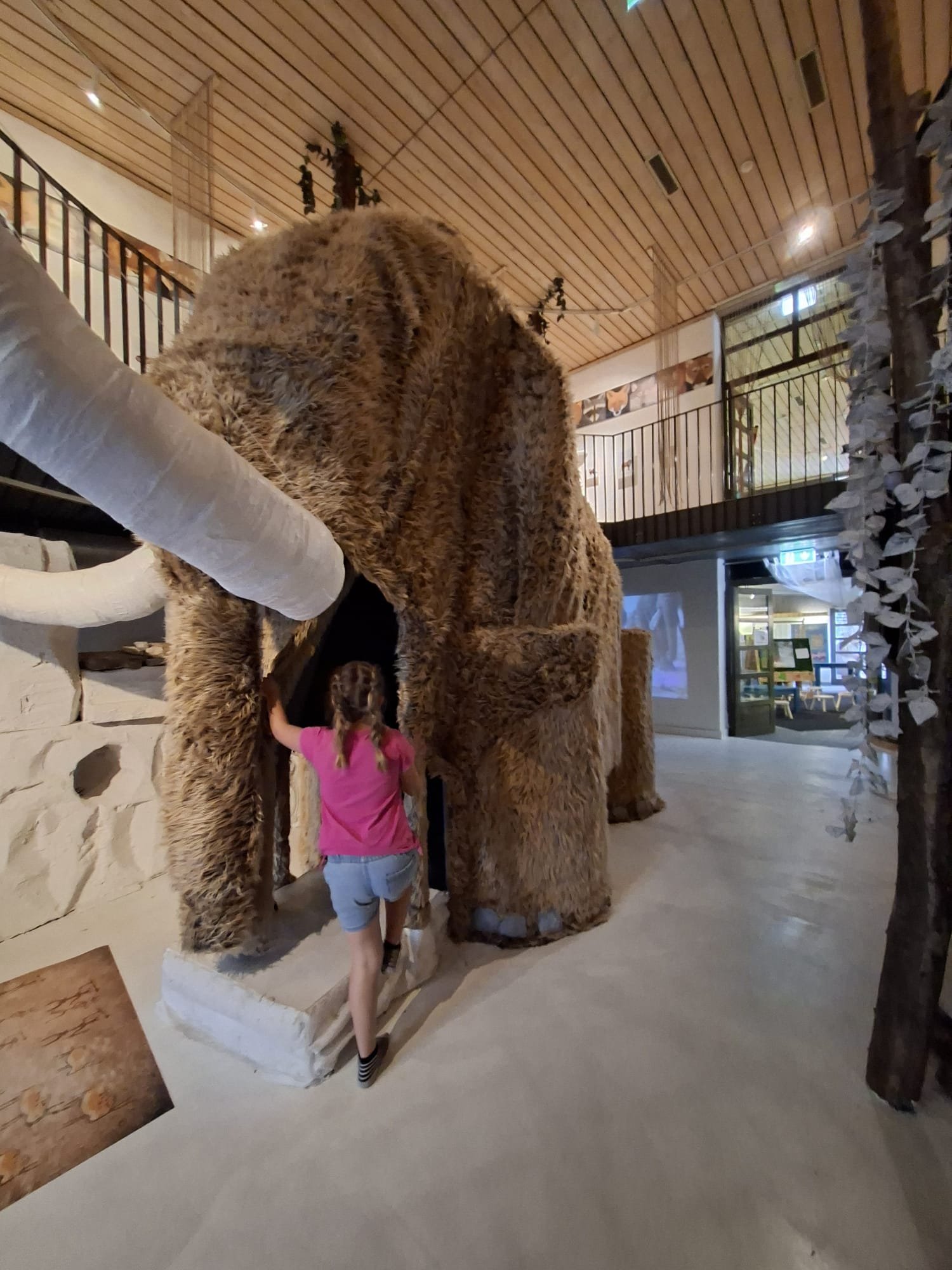 WhatsApp Image 2026-03-20 at 15.04.57.jpeg