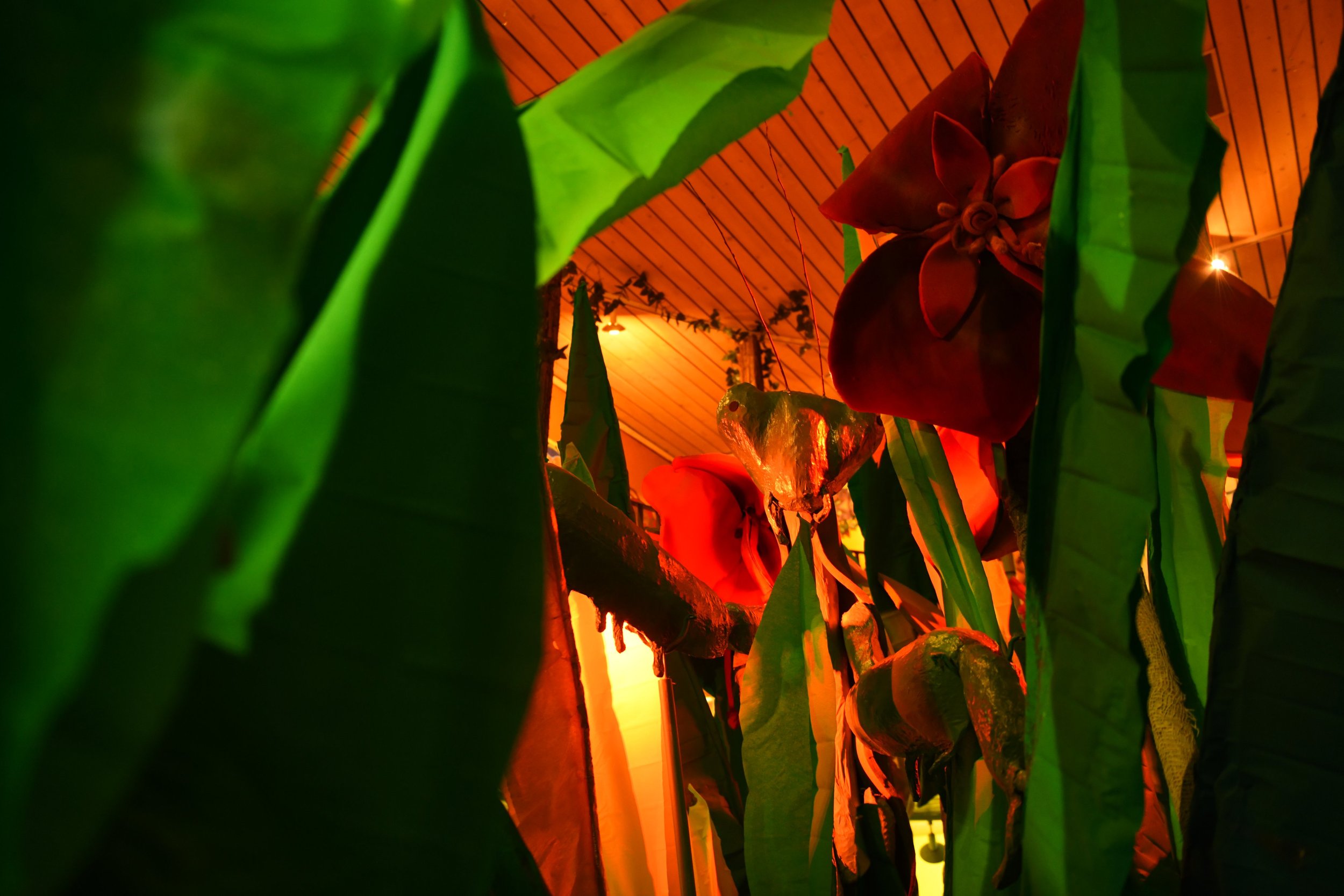 DSC_0385.jpeg
