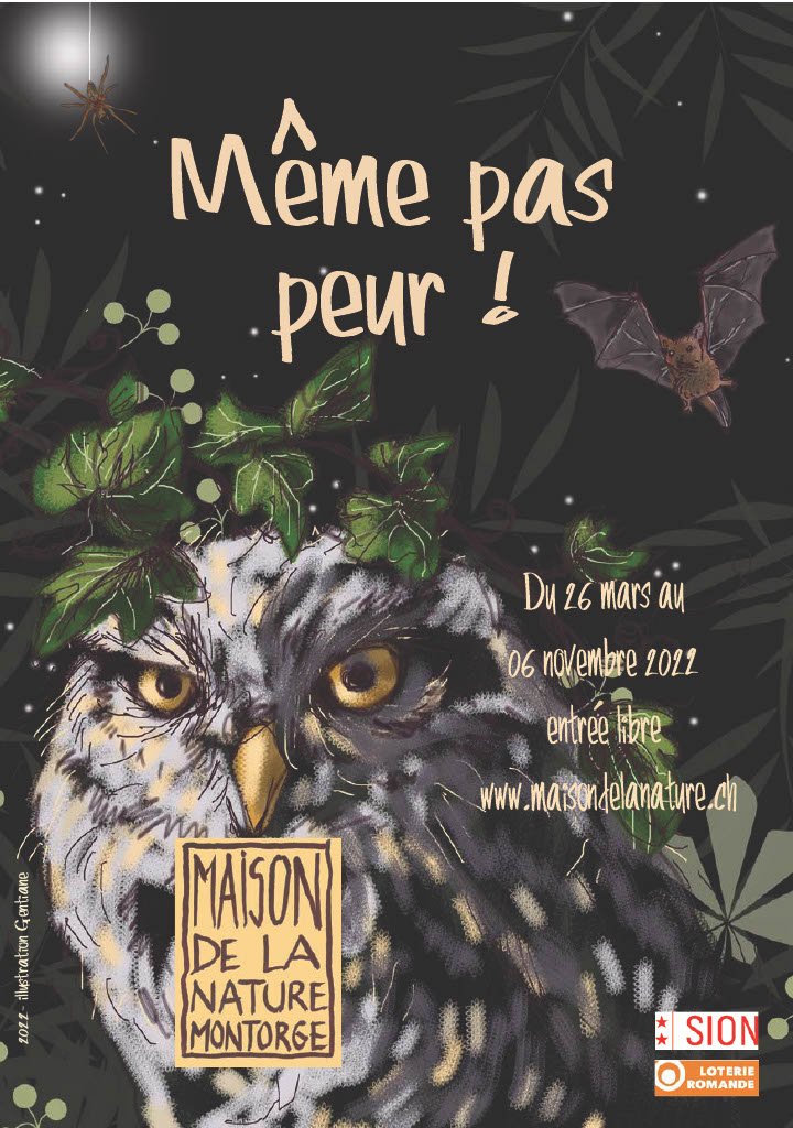 Même pas peur ! (2022)