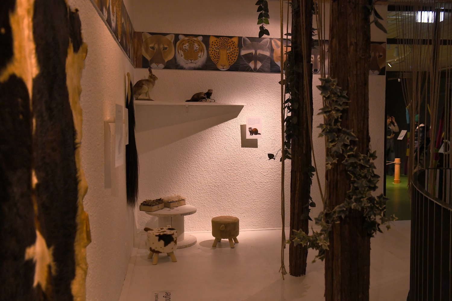 DSC_5787-2.jpeg