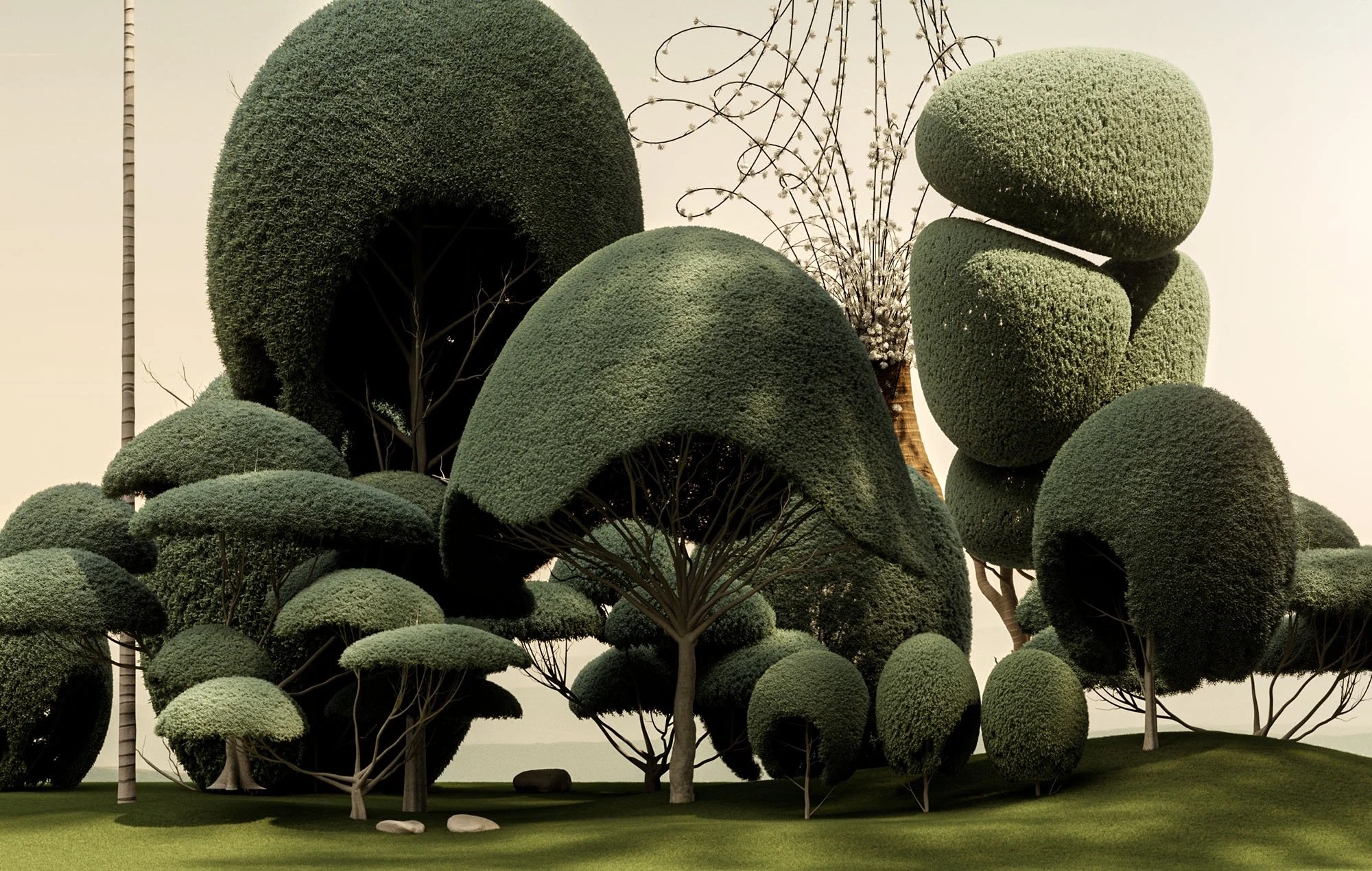 The Botanical Gardens No 4.jpg