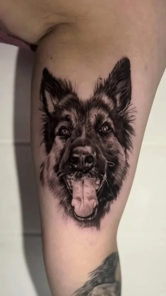 Pet Portrait. Realistic tattoo portrait of a German Shepard. Darren is known for his fine detailed tattoo portrait work.