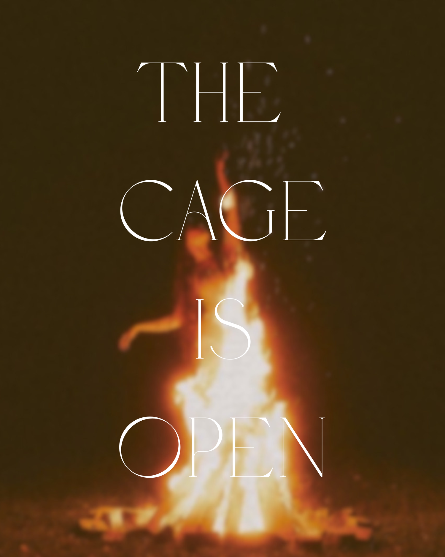 THE CAGE IS OPEN