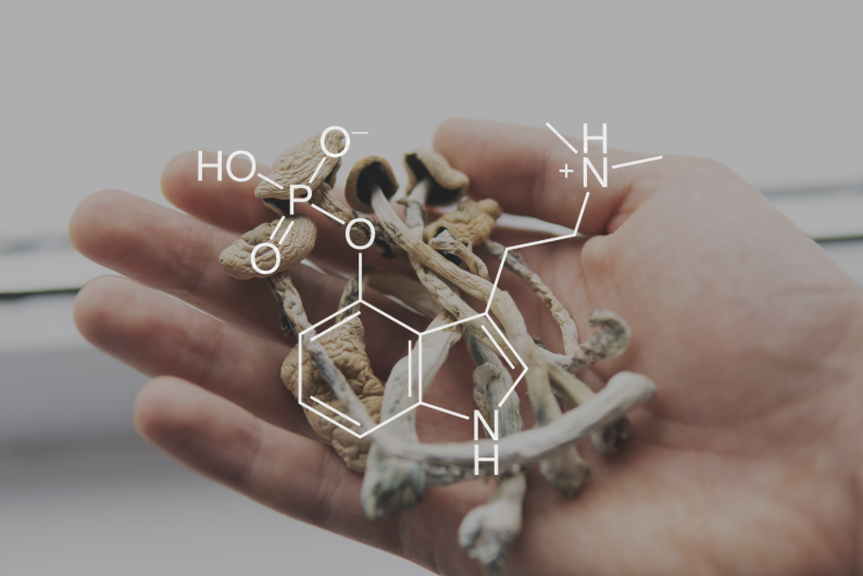 COMP360 REMS &amp; Future Practice— FYI