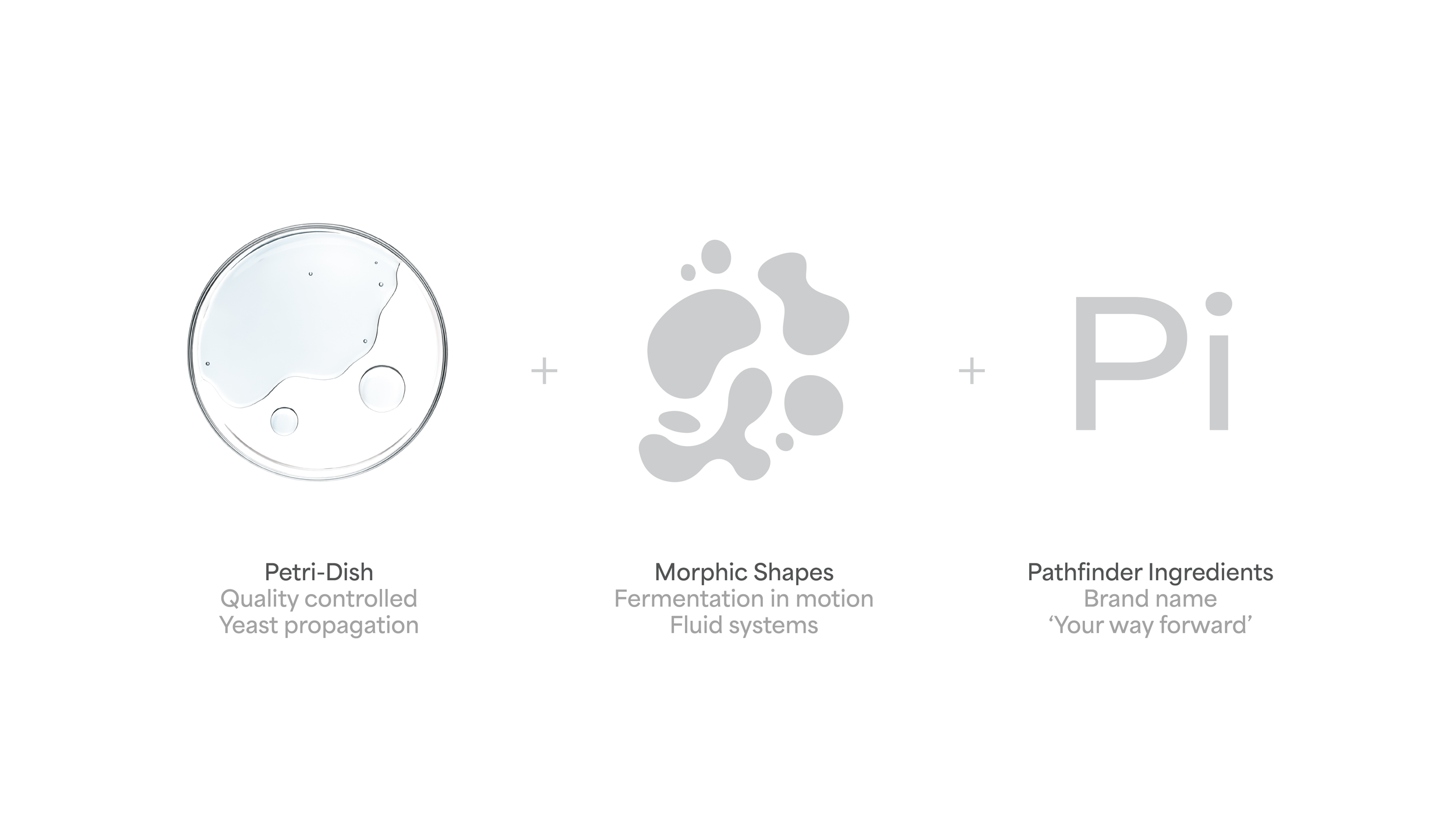 Pathfinder Case Study _Forweb-01.png