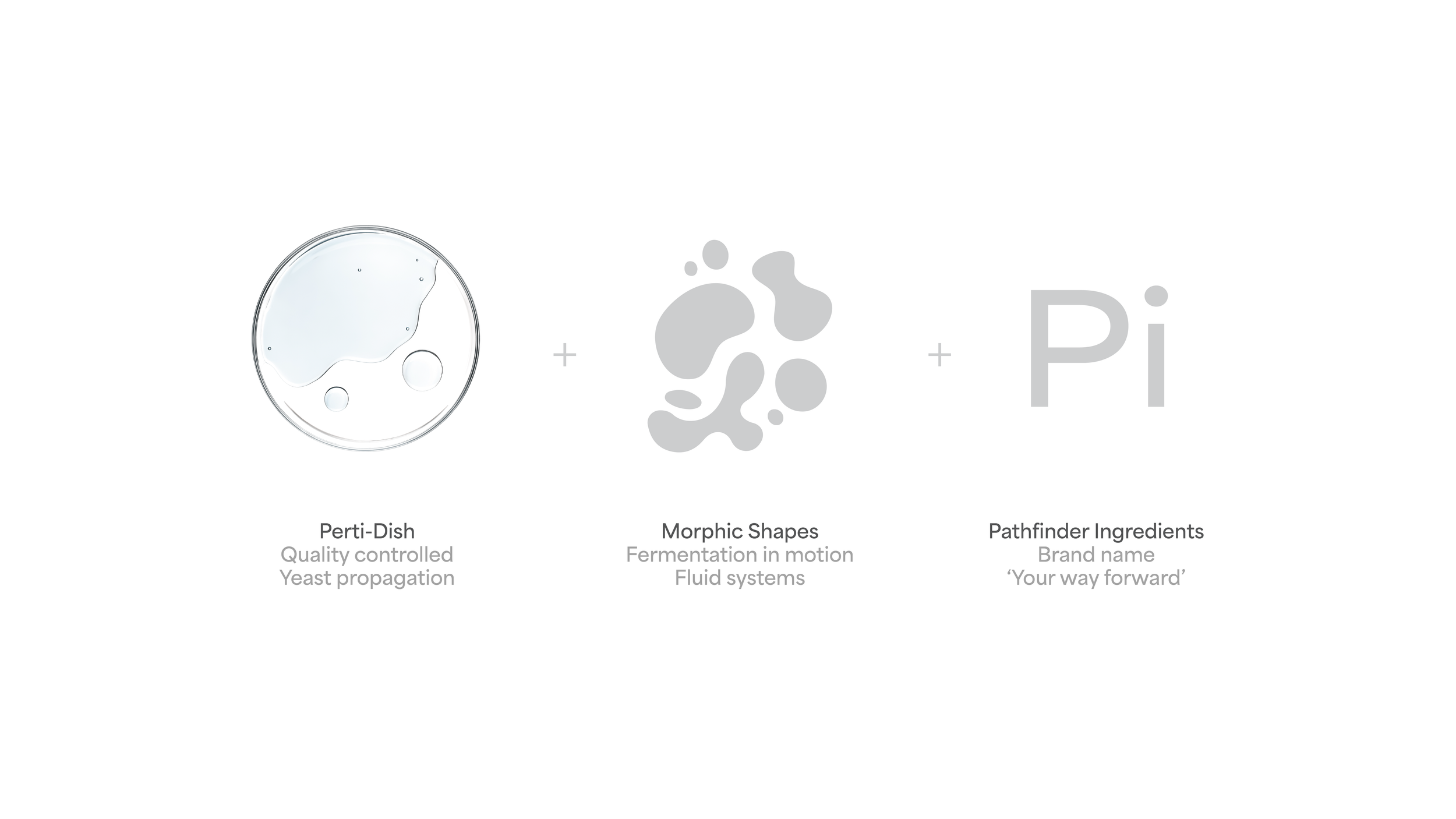 Pathfinder Case Study _Forweb-01.png