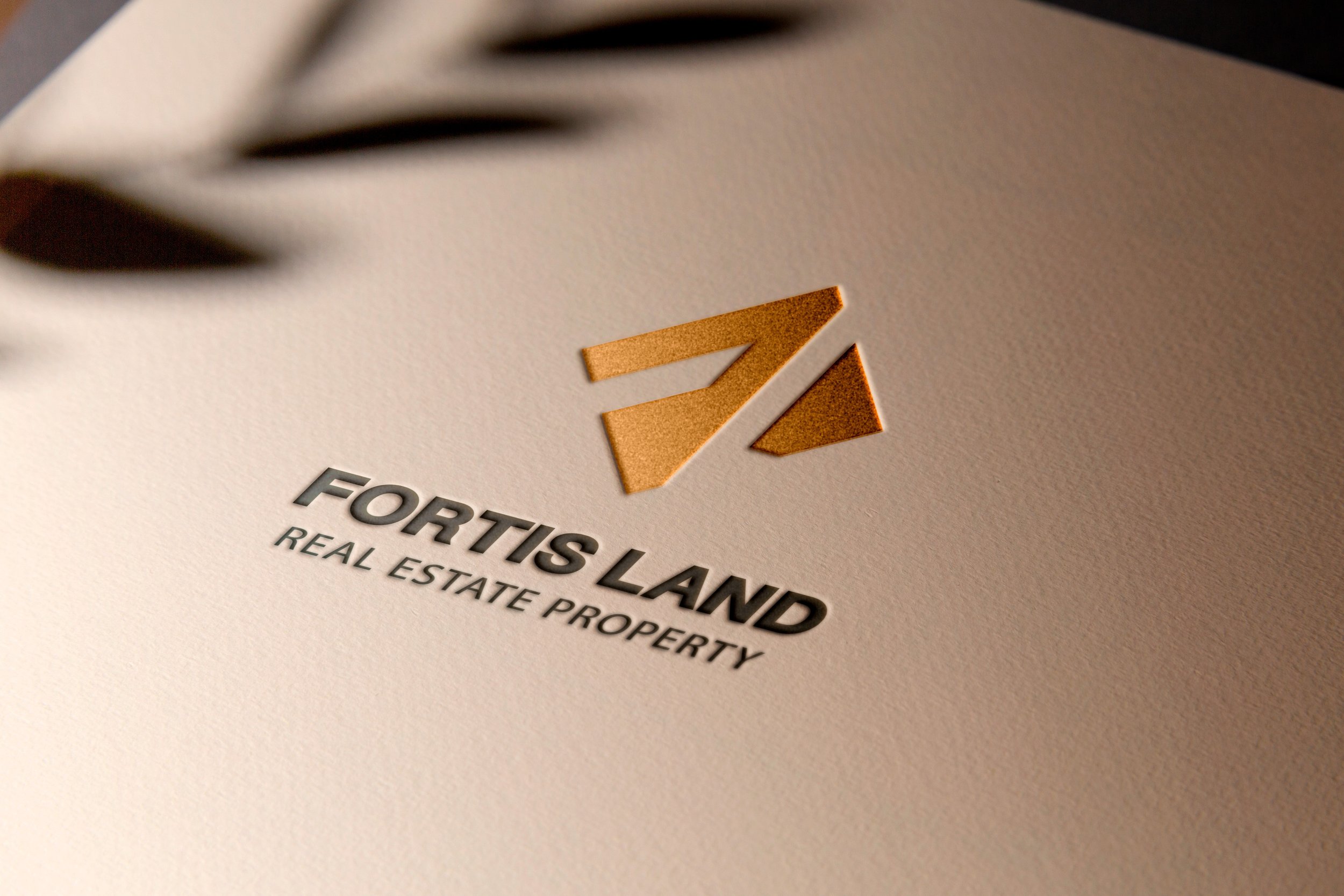 branding 02.jpg