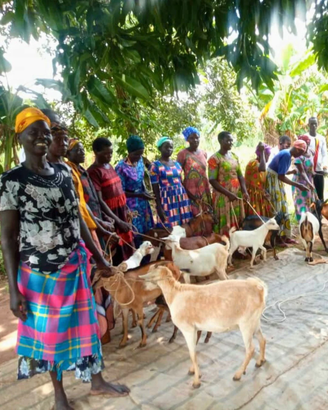 From 17 goats to 51 in just one year 🐐✨
Both Alangi and Amunga parish are thriving through their Income Generating Activity groups (IGA's), showing what&rsquo;s possible when resources and resilience come together. 
#uganda #communitydevelopment #ig