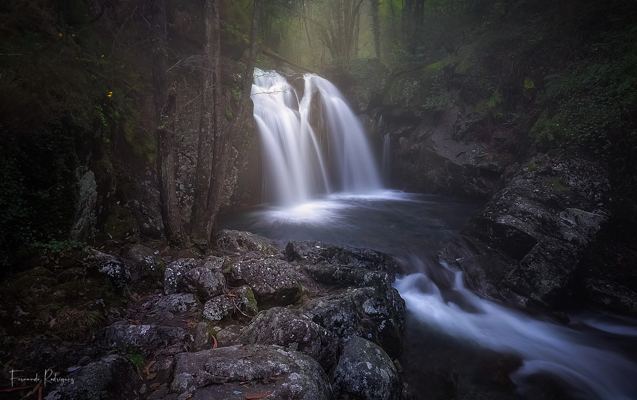 DPP_1598 - copia (2).jpg