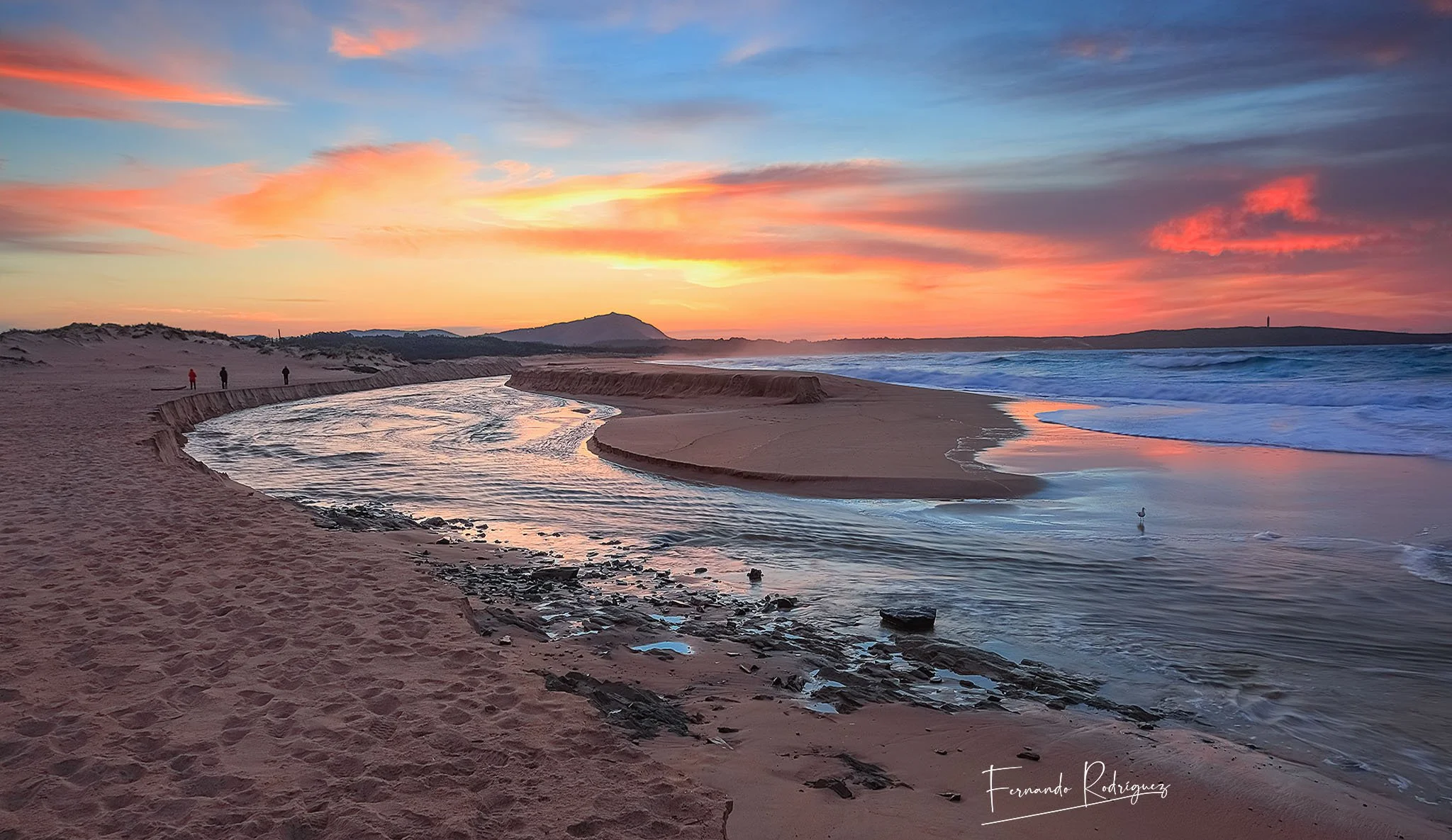 DPP_1542 - copia - copia.jpg