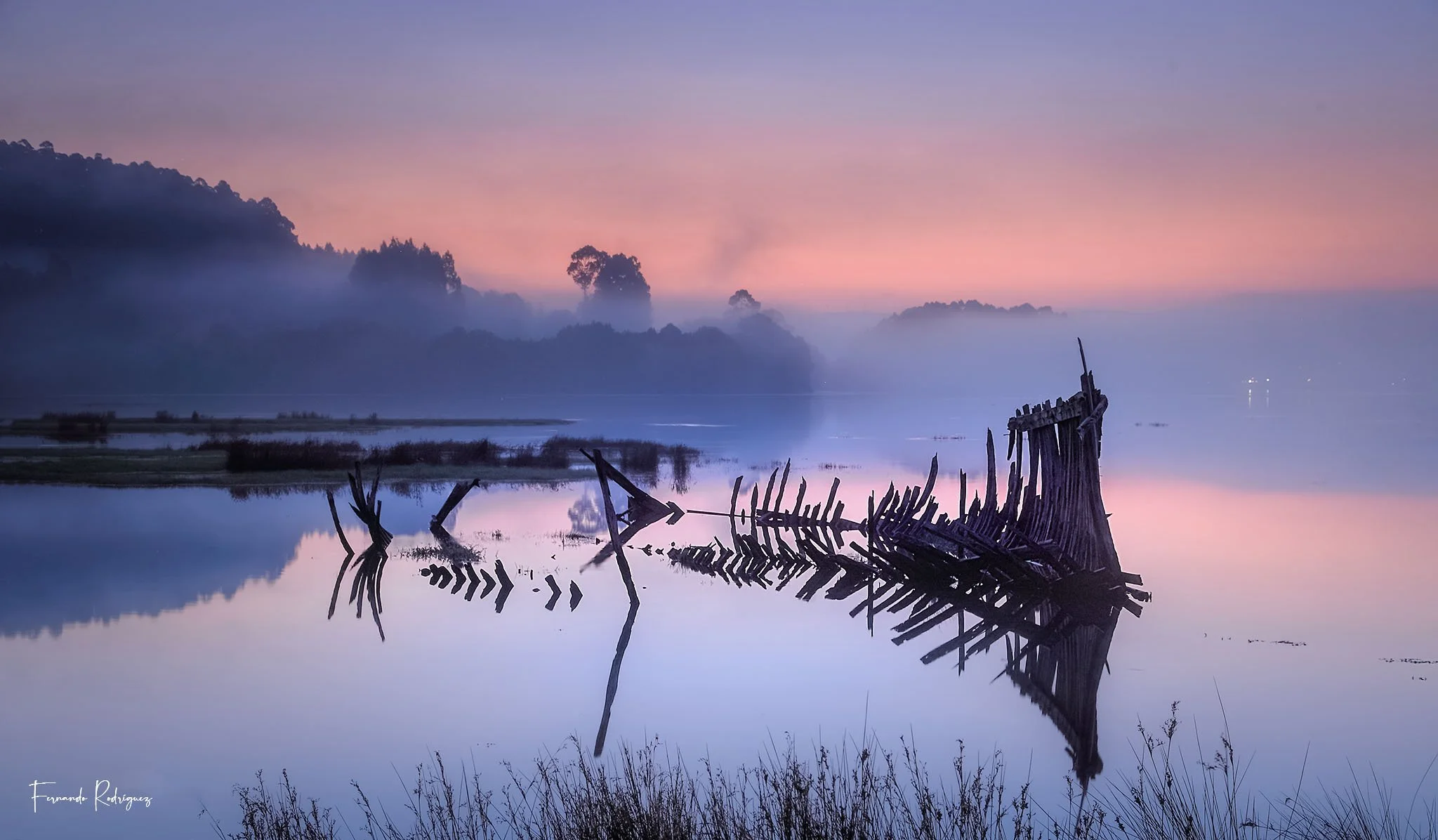 DPP_451 copia - copia.jpg