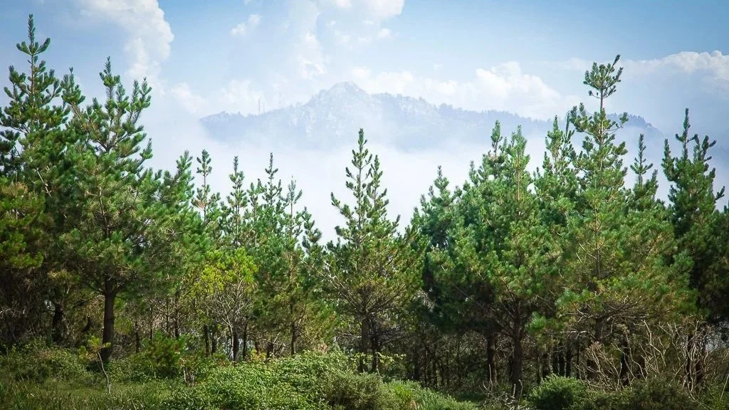 Vista de la cima de La Miranda rodeada de nubes desde la Serra da Capelada