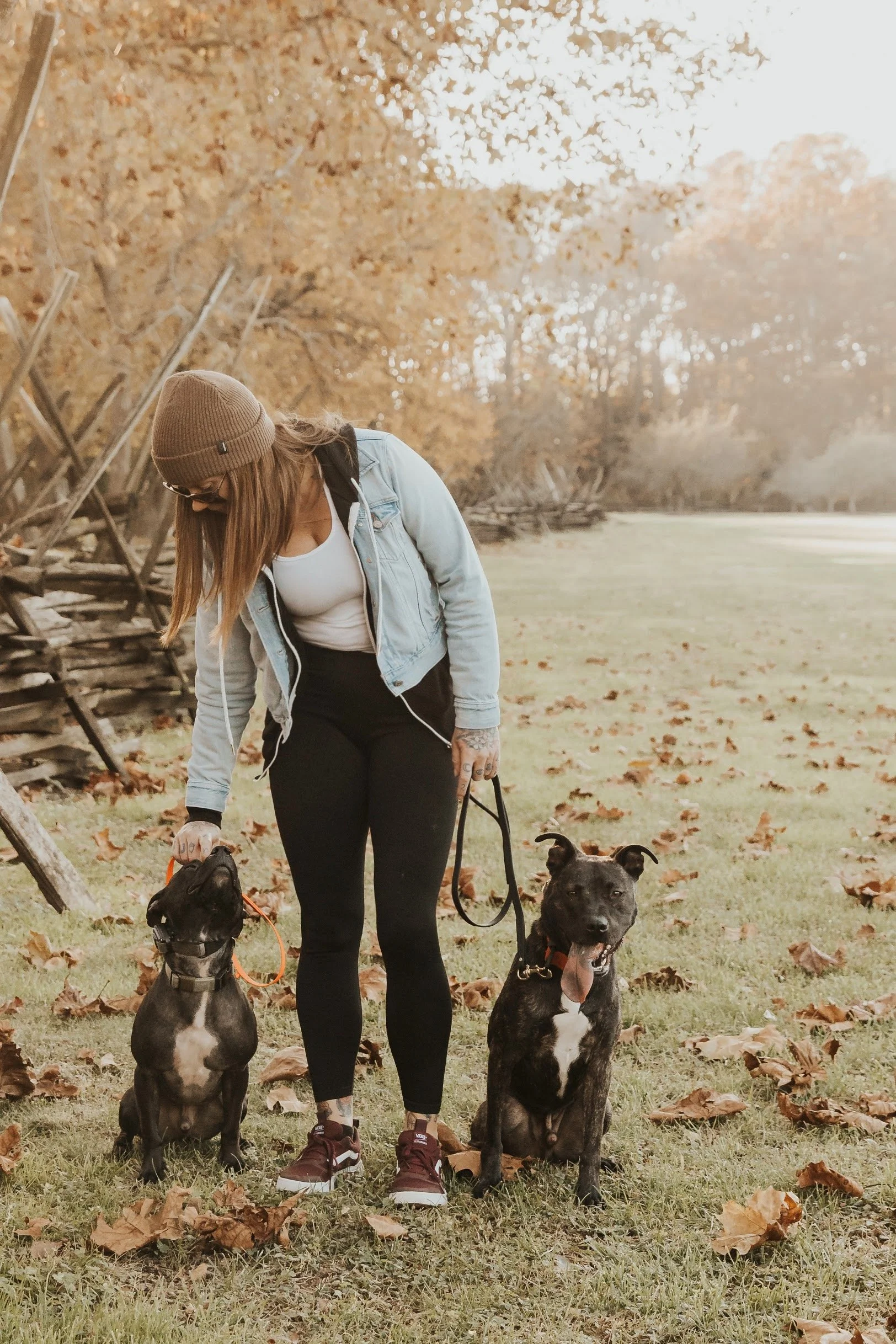 Dog Trainer in Park with Two Dogs