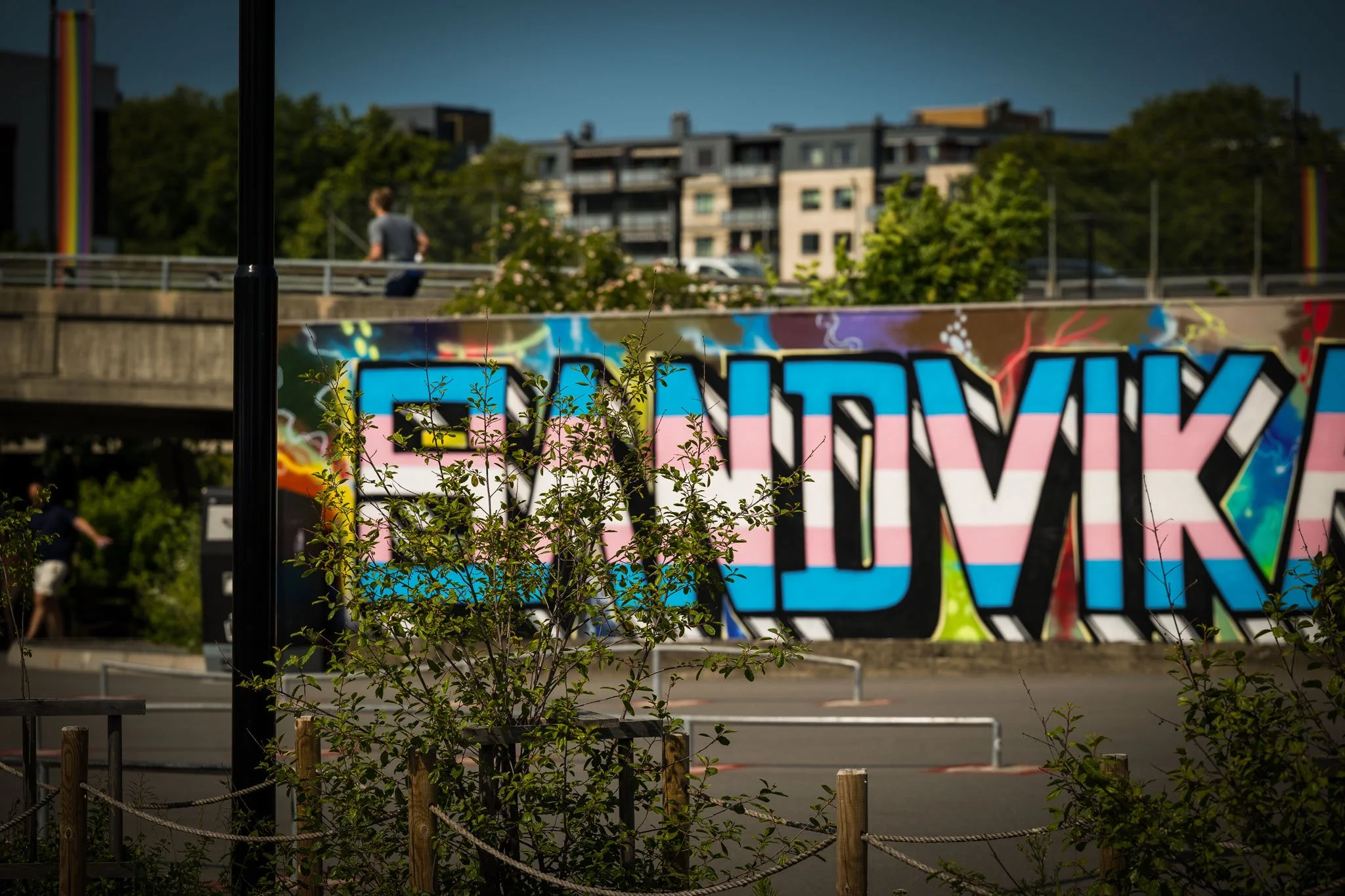 Fargerik gatekunst med bokstavene 'ED' og deler av ordet 'PRIDE', omgitt av grønne busker og en parkeringsplass