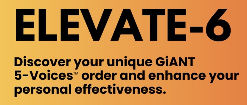Elevate 6.jpg