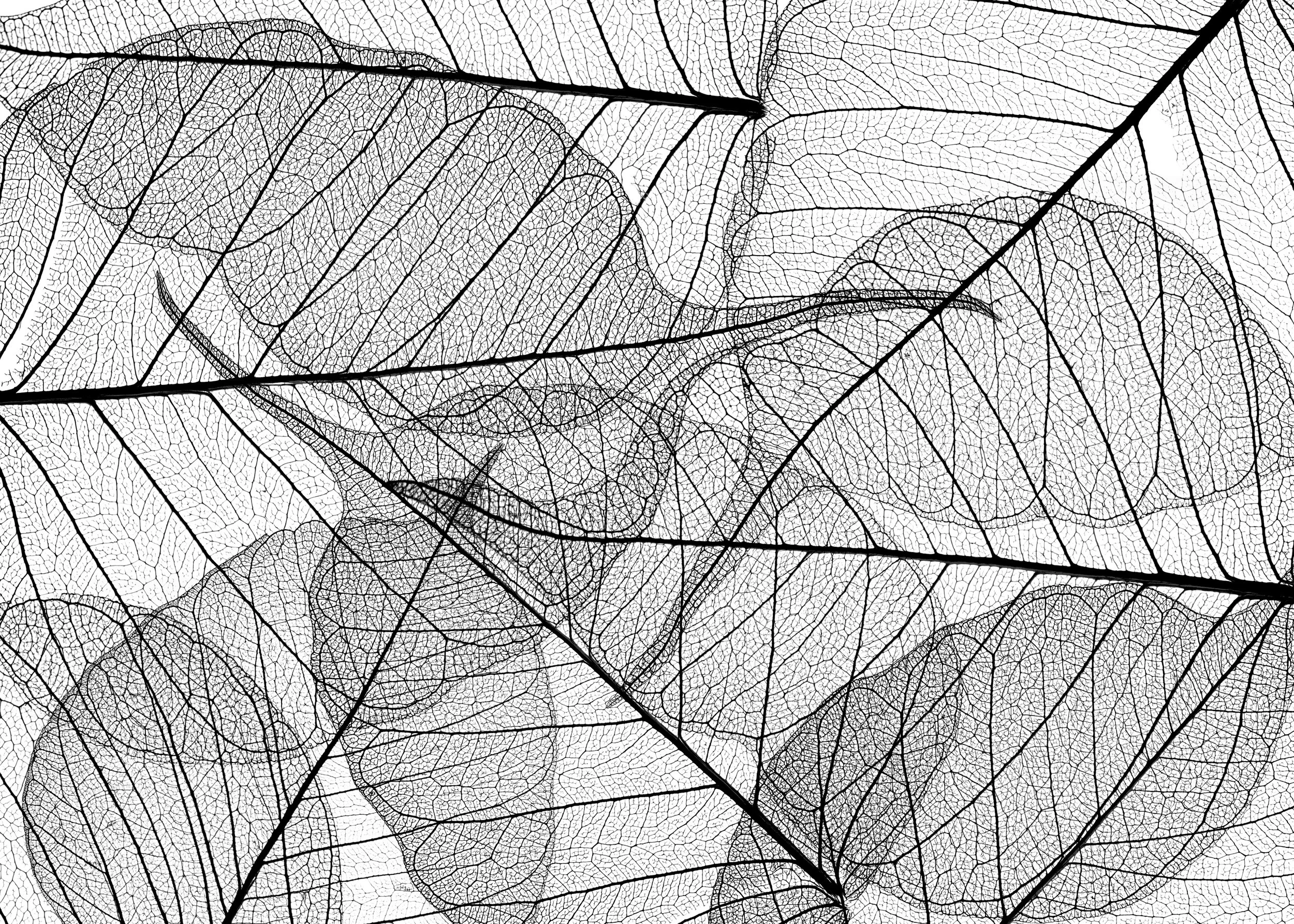 Your Market Wants Meaningful Progress