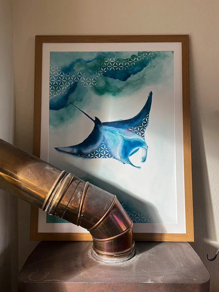 h-blanchard-aquarelle-raie-manta-bleu-vert-08.jpg