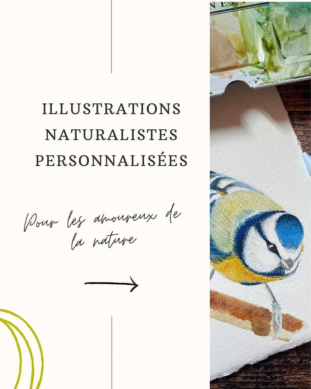 Est ce que vous aimez les balades dans la for&ecirc;t, vous allonger dans l&rsquo;herbe et regarder les nuages, prendre en photo chaque fleur mignonne ?
Moi j&rsquo;adore. Et ce que j&rsquo;aime aussi, c&rsquo;est collectionner dans mon carnet tous c