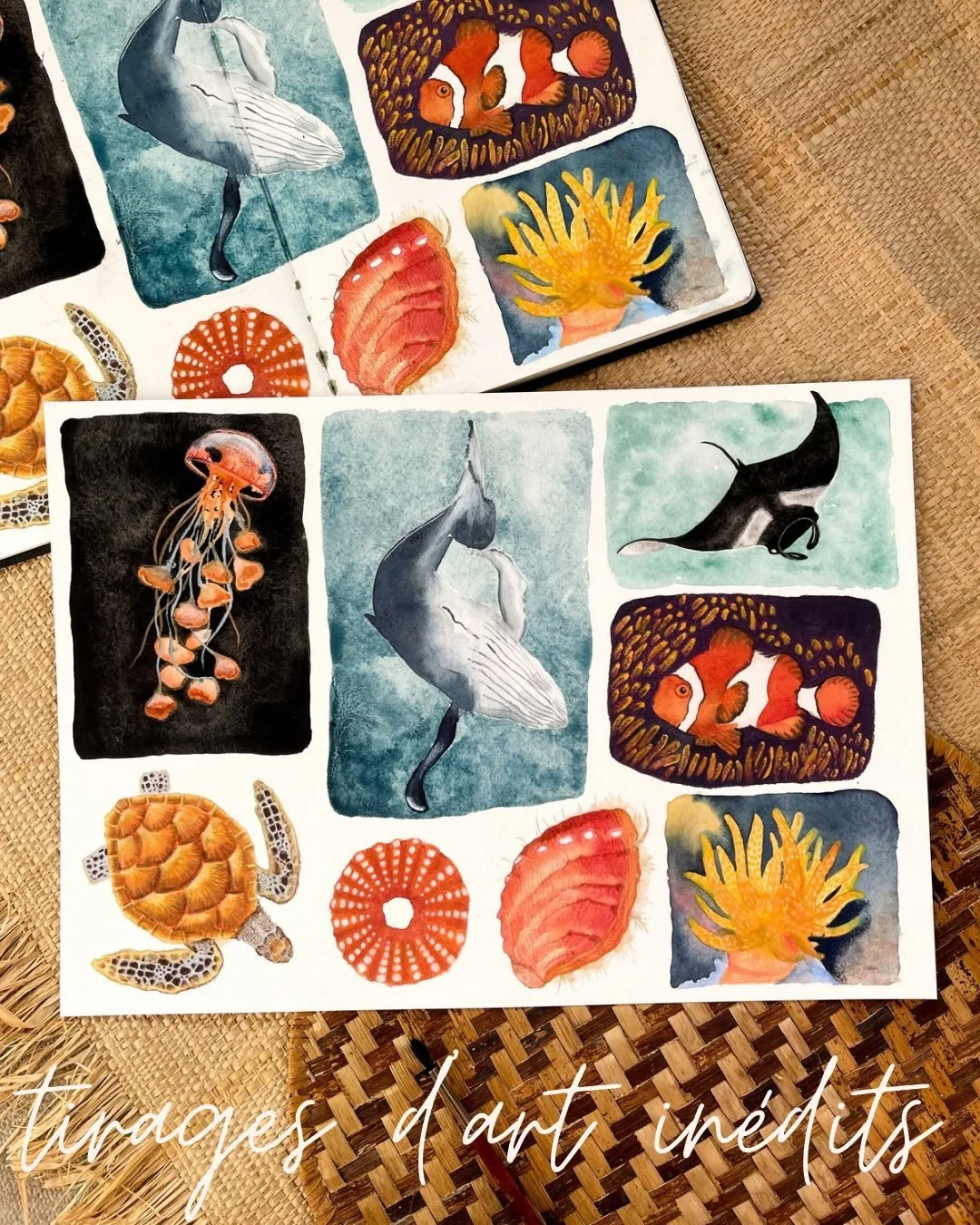 Je voulais vous pr&eacute;senter ces 3 tirages d&rsquo;art un peu particuliers.
Ils sont tir&eacute;s de mon carnet d&rsquo;aquarelle et non de mes collections de peinture. Vous les avez vu na&icirc;tre au fur et &agrave; mesure dans mes posts insta 
