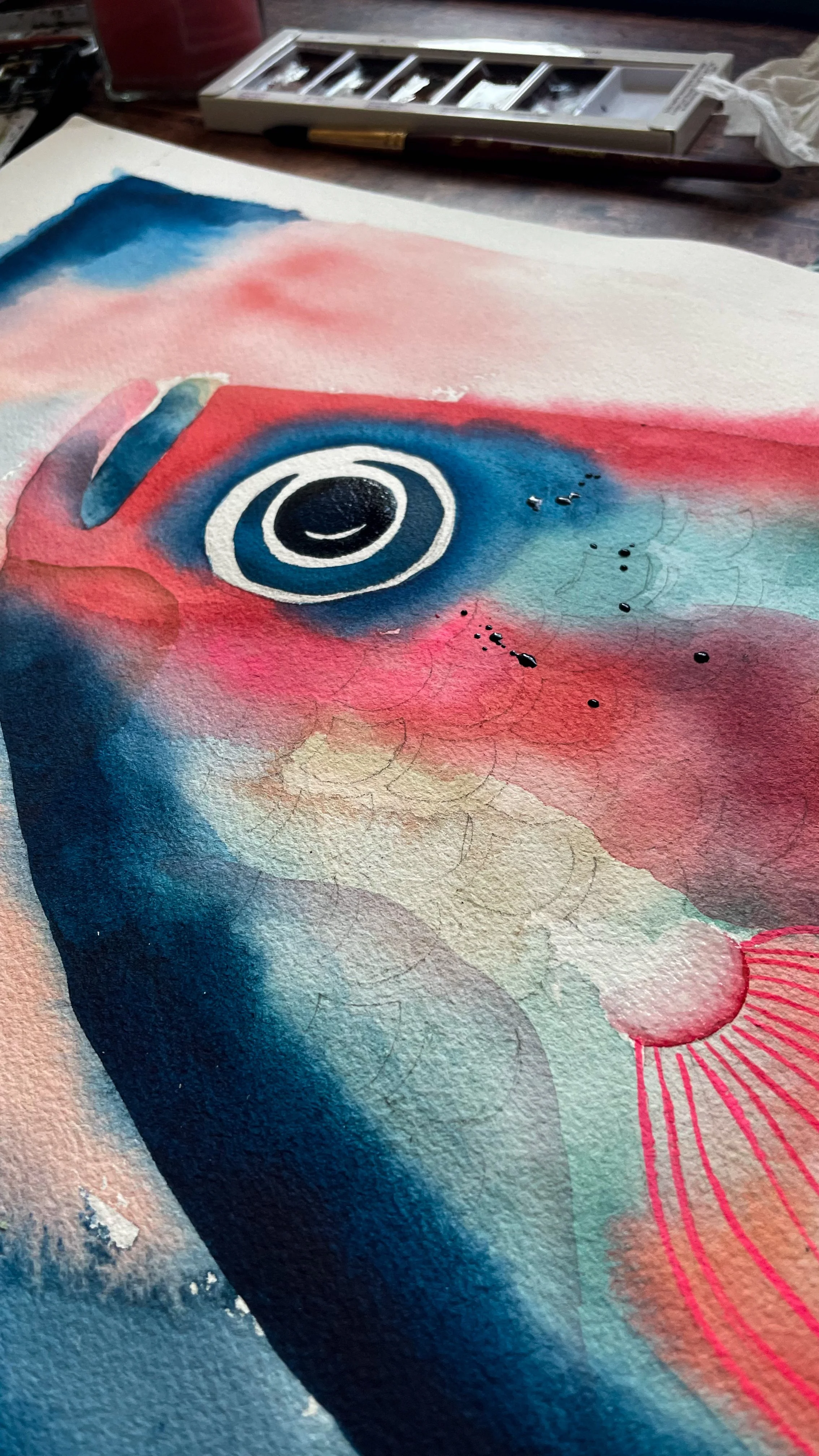 HBlanchard_aquarelle_marine_poisson rose.JPG