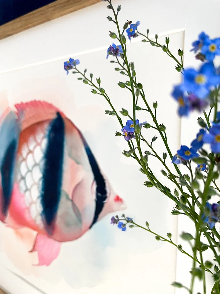 h-blanchard-_aquarelle-poisson-papillon-rose-detail_03.jpg