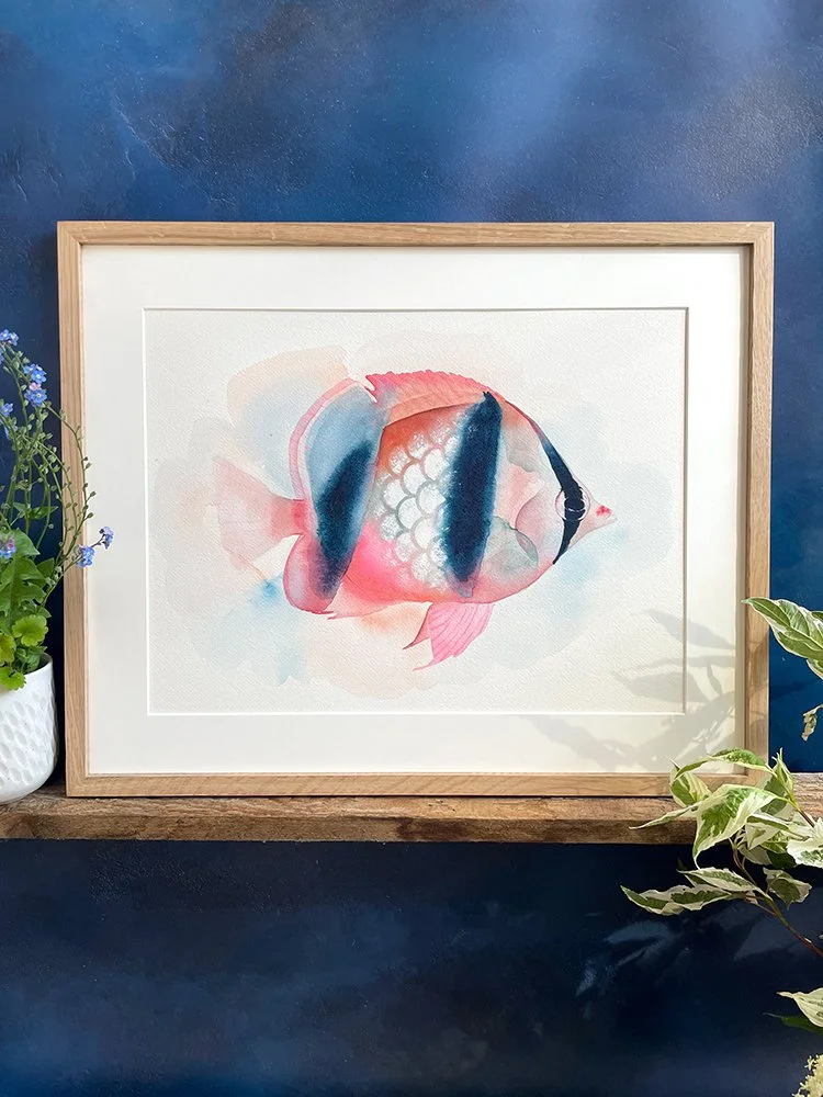 h-blanchard-_aquarelle-poisson-papillon-rose.jpg