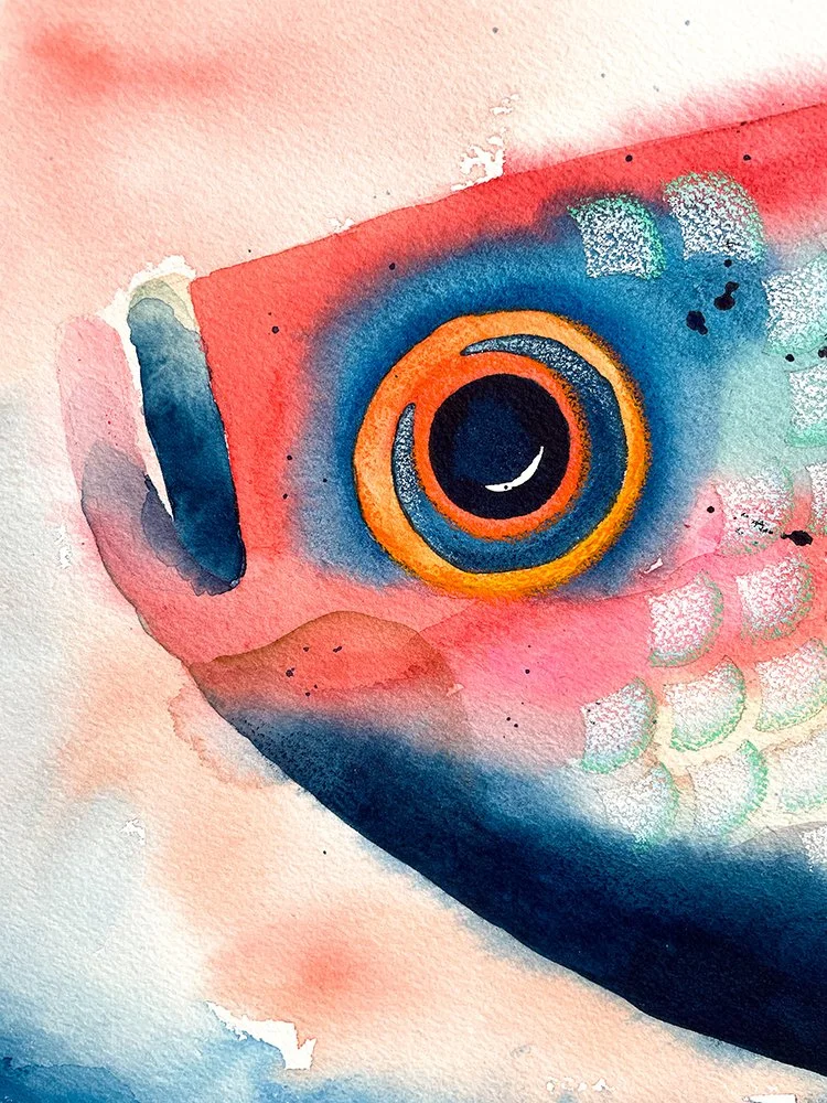 h-blanchard-aquarelle-poisson-grand-beta-rose-bleu-detail-04.jpg