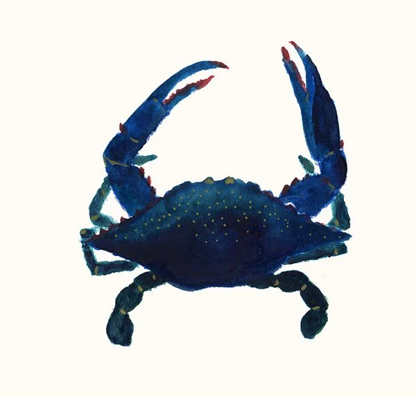 HeleneBlanchard_aquarelle_crabe.jpg