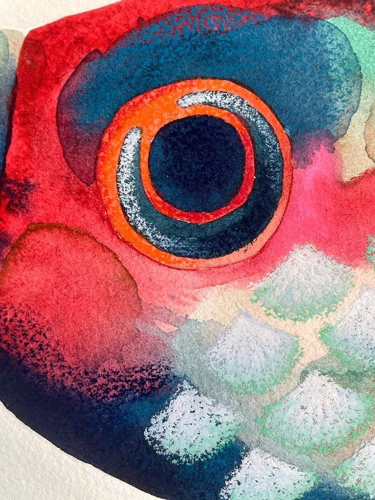 h-blanchard-aquarelle-poisson-beta-rose-bleu-detail-02.jpg