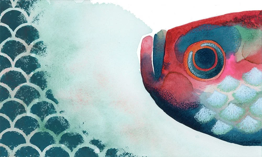h-blanchard-aquarelle-poisson beta rose et bleu-petit.jpg