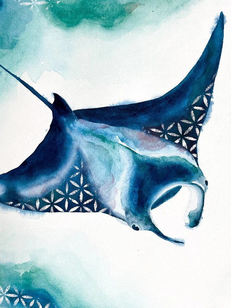 h-blanchard-aquarelle-raie-manta-bleu-vert-06.jpg