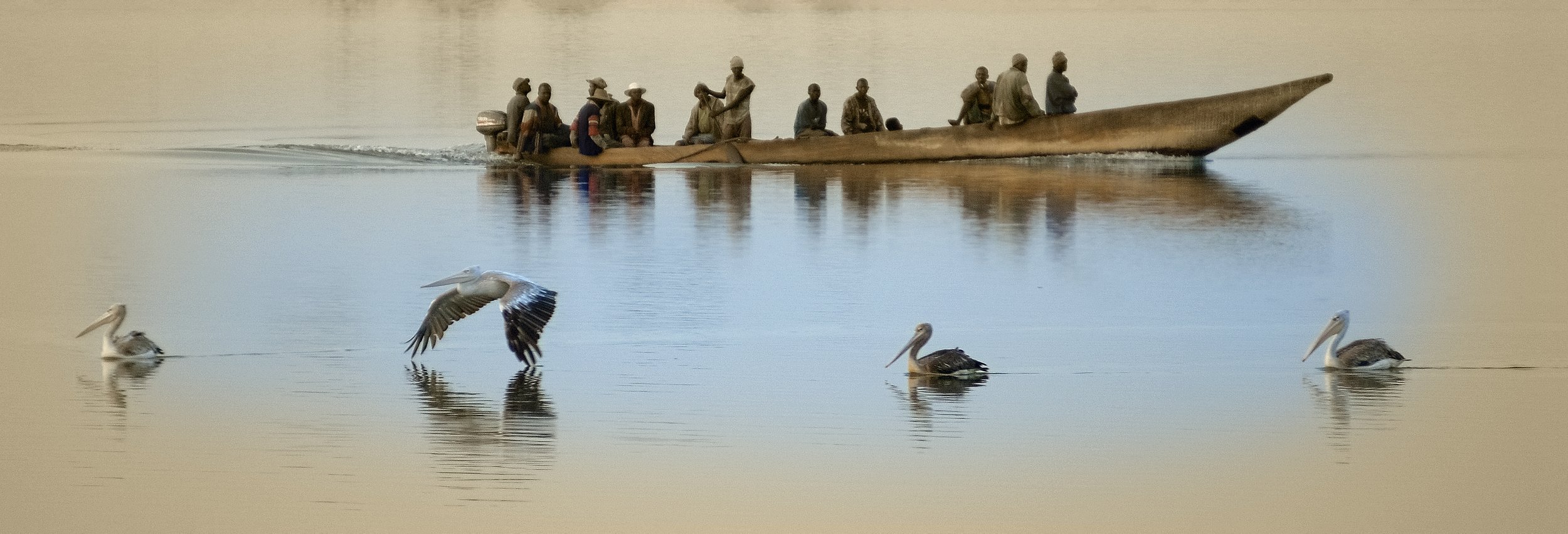 43 (180 x 60).jpg