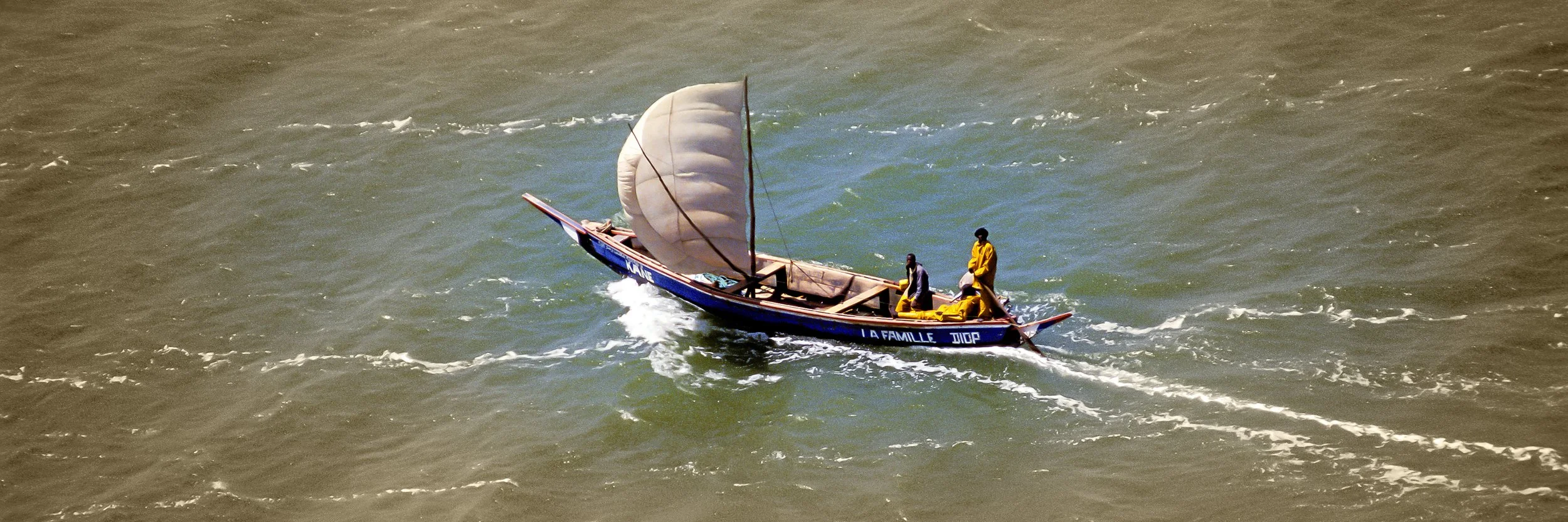 61T (150 x 50).jpg