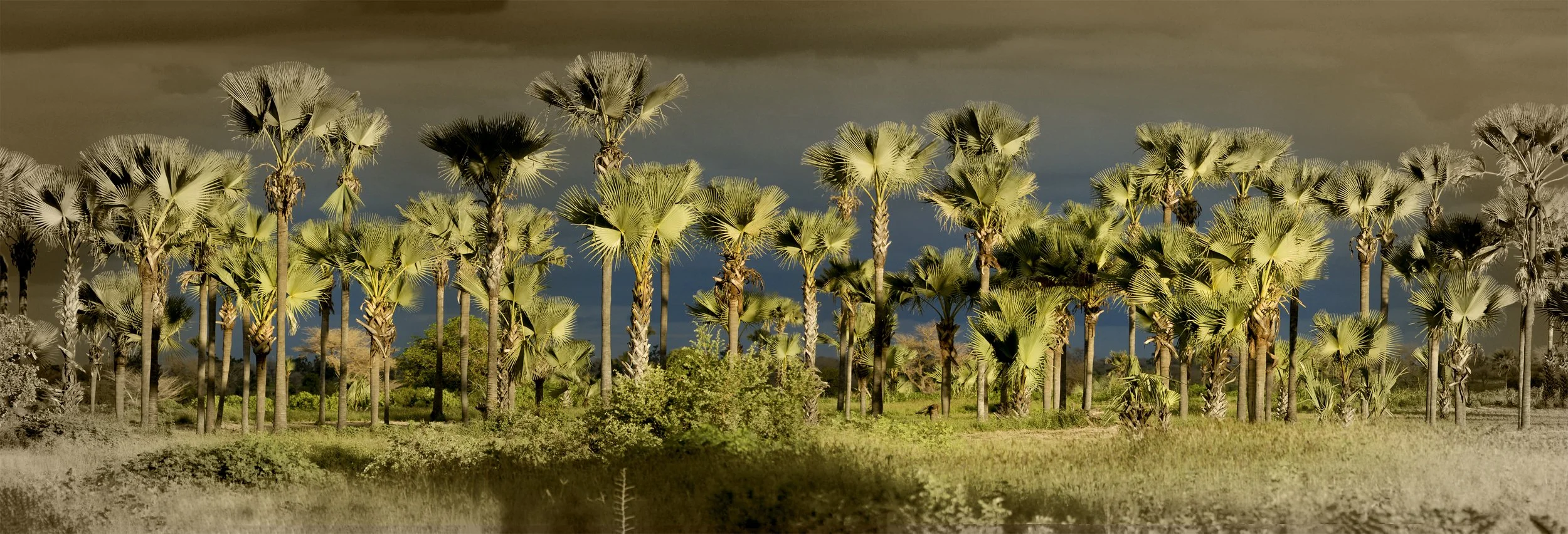 41 (180 x 60).jpg