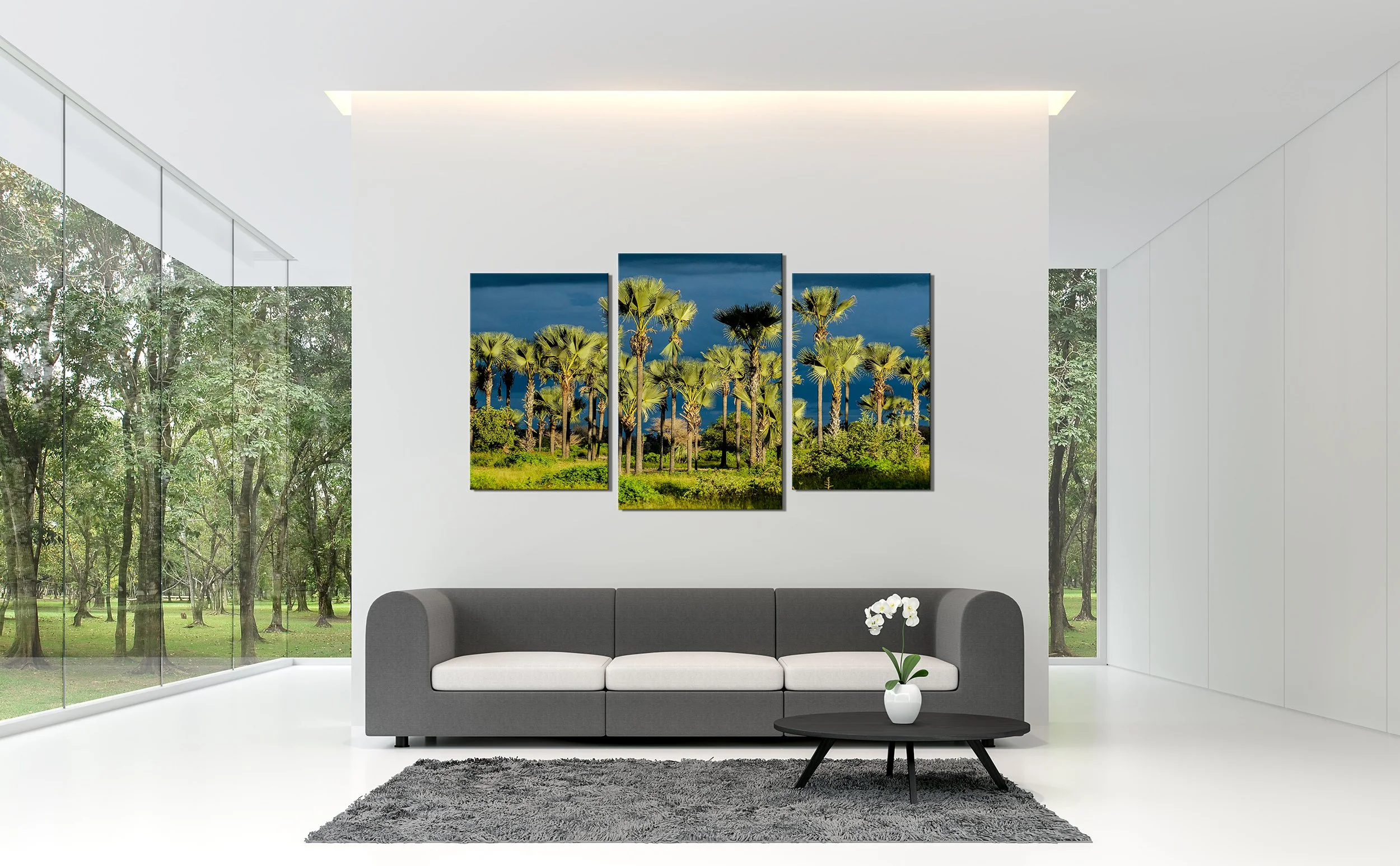 AdobeStock_2390451777.jpg
