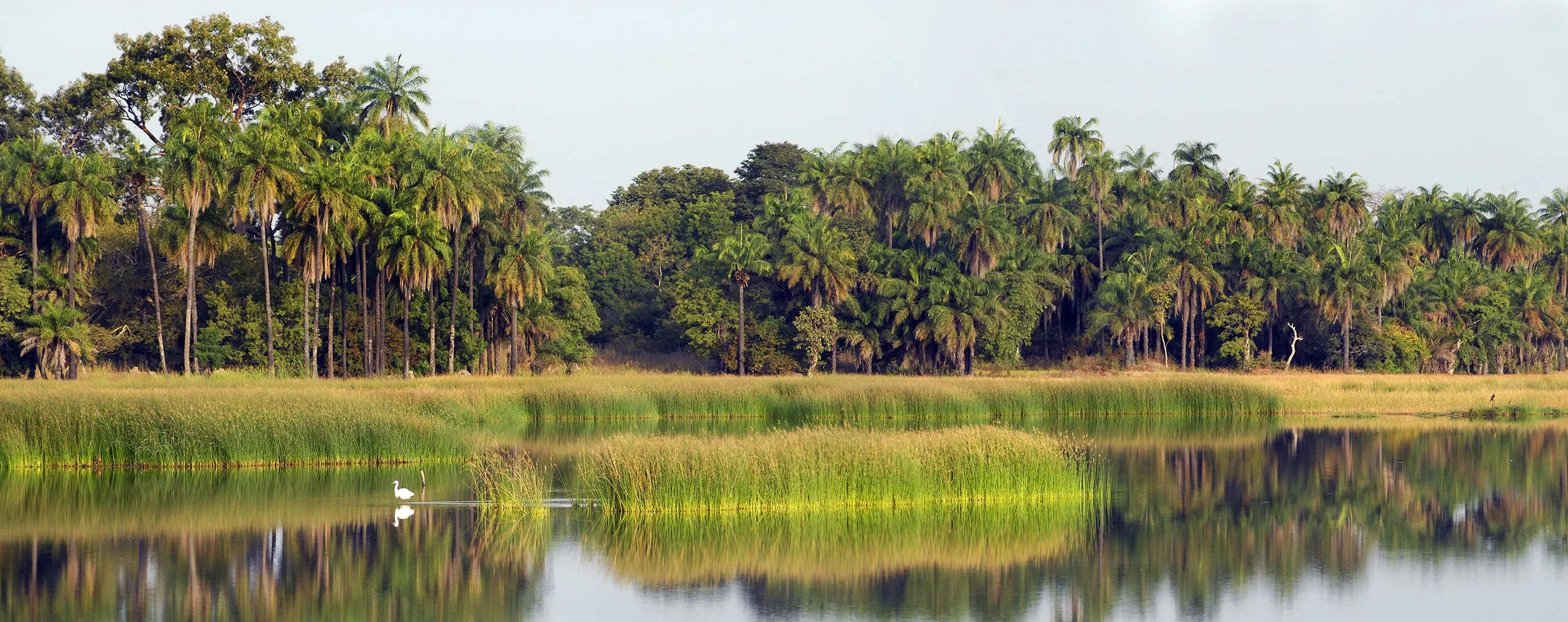 Casamance.jpg