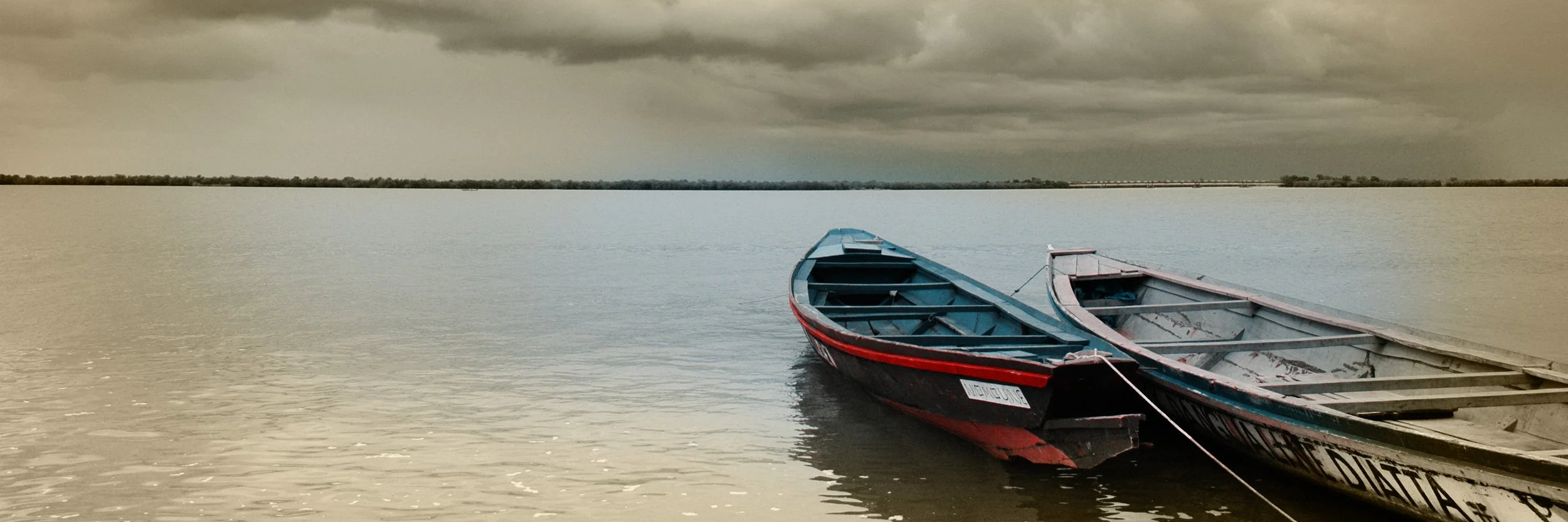 49T (150 x 50).jpg