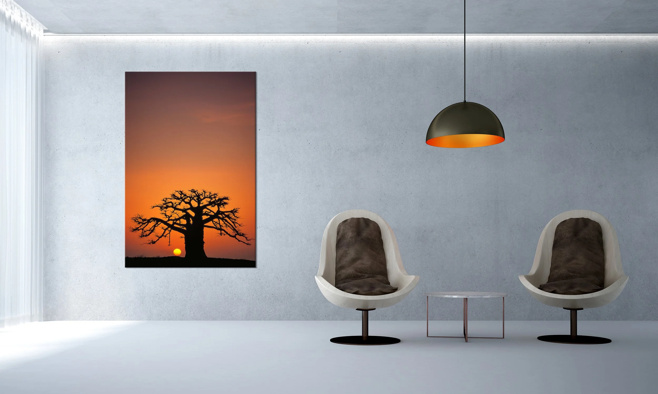 AdobeStock_38125472121.jpg