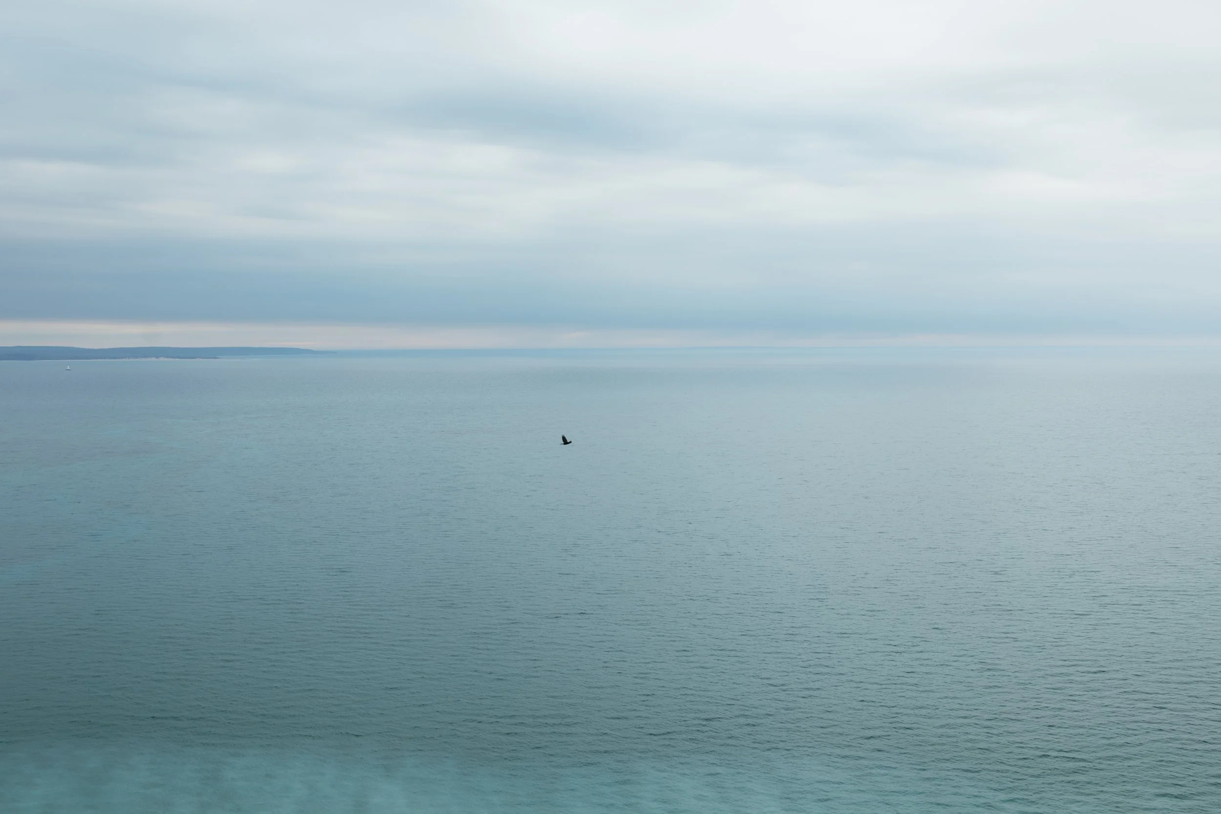 Certificate: University of Copenhagen: The Sustainable Development Goals