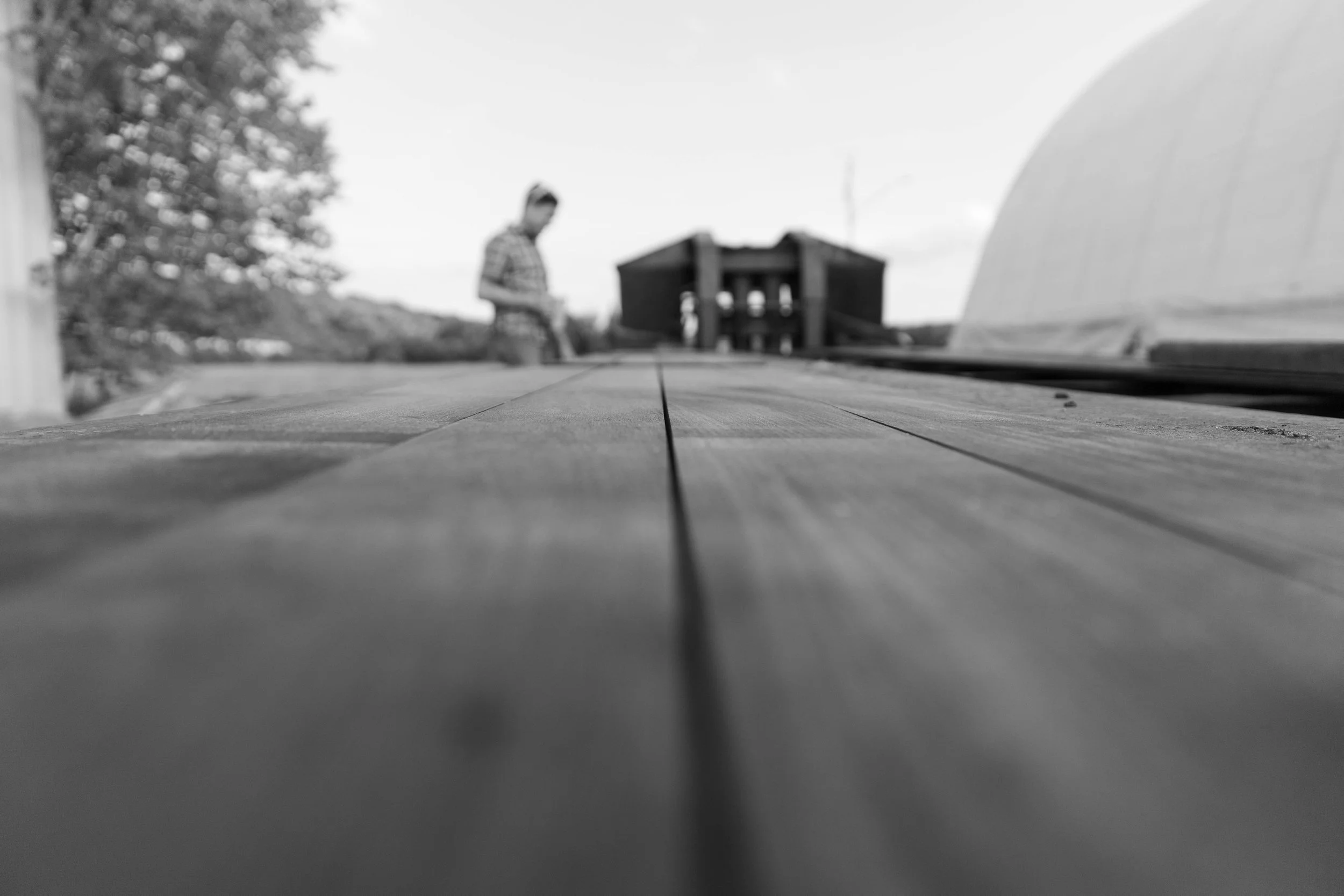 IMG_7589.jpg