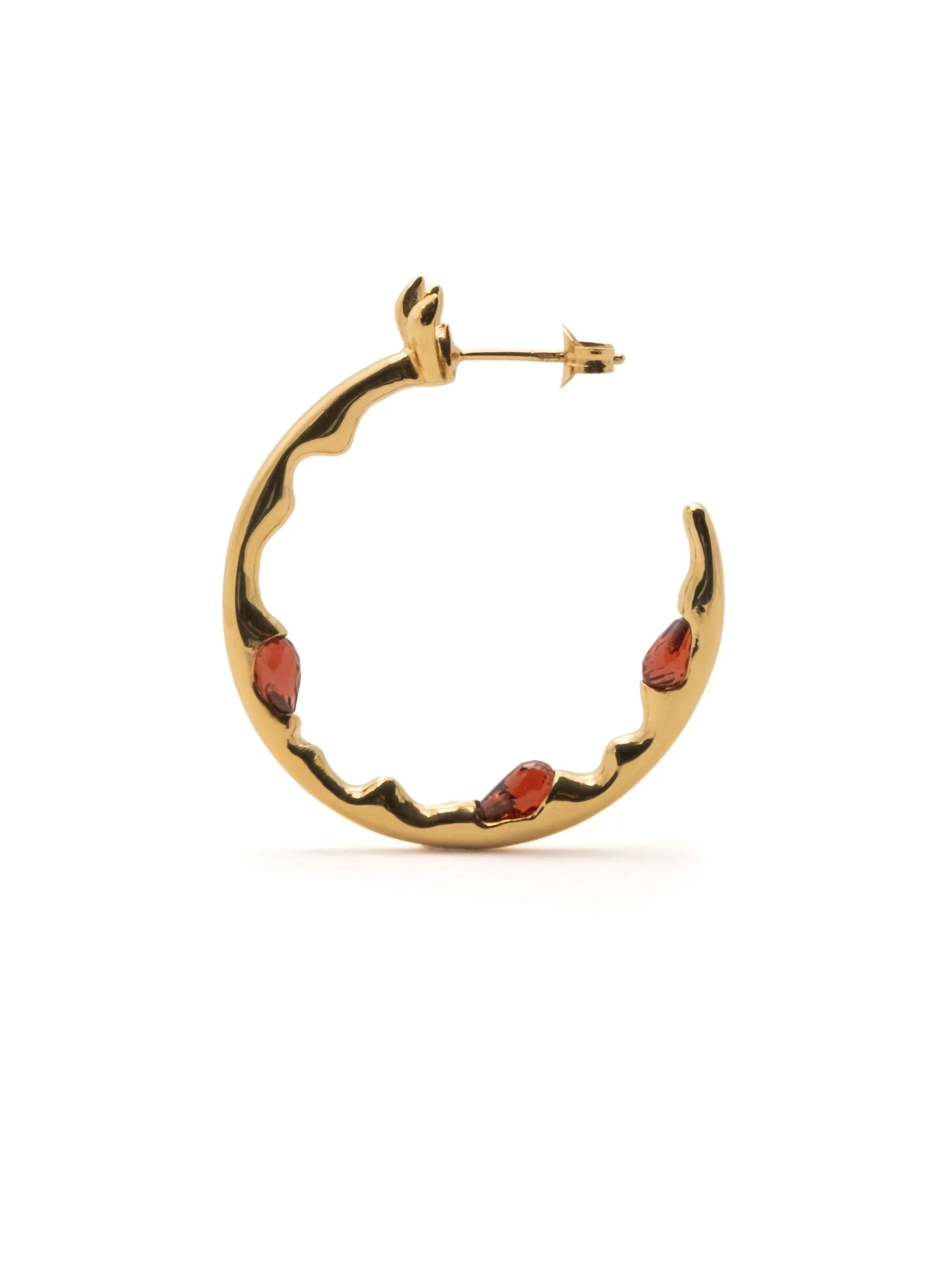 PTS-product-hires-DSCF1586-pomegranate-hoops-gold-profile-edit.jpg