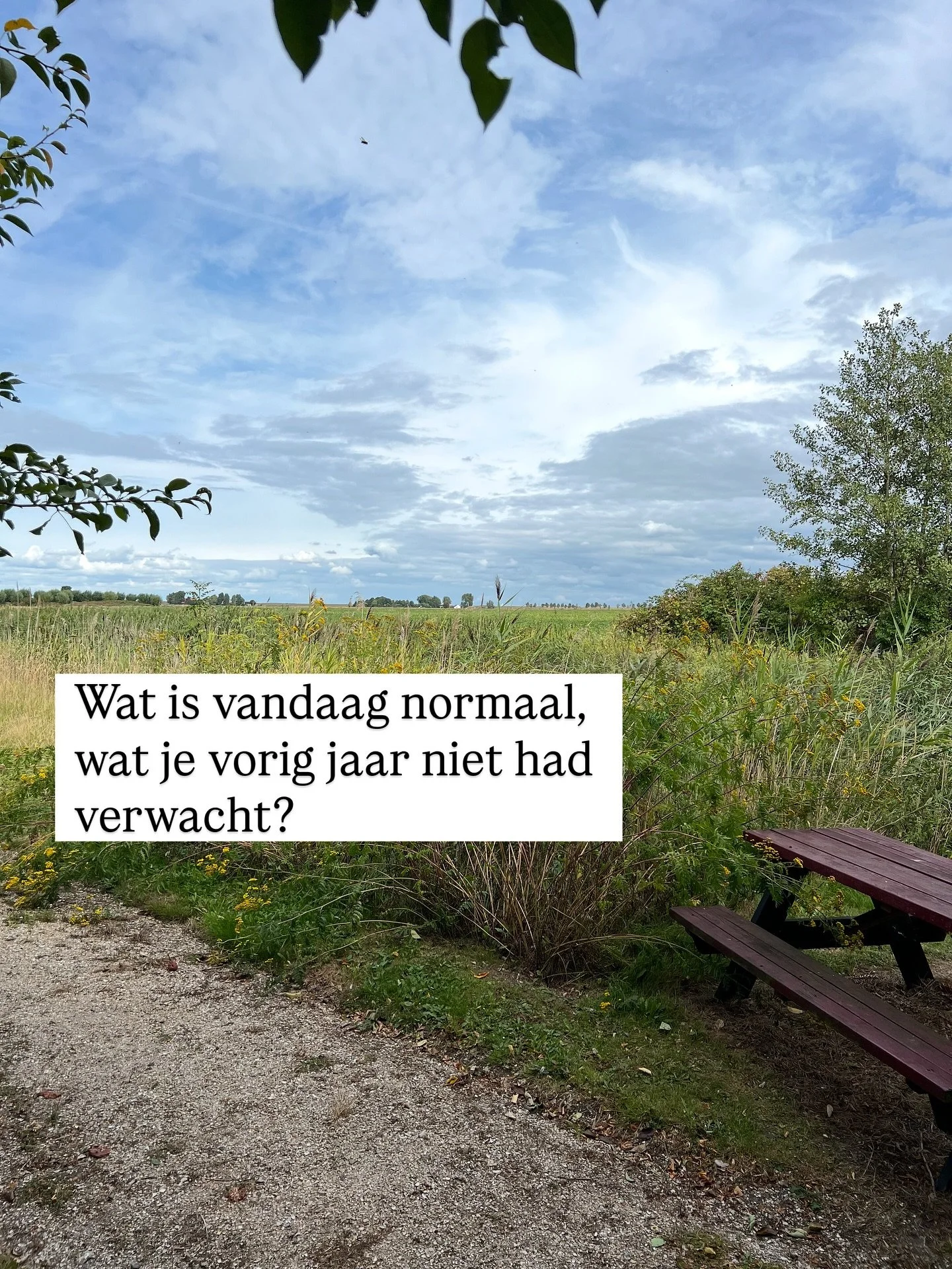 Het begin van de herfst vind ik normaal gesproken een mooi moment om uit te zoomen. Terugblikken op een jaar eerder. Kijken naar waar je nu bent. De vooruitgang en ontwikkeling zien en vieren, omdat dat de basis is voor n&oacute;g meer ontwikkeling.
