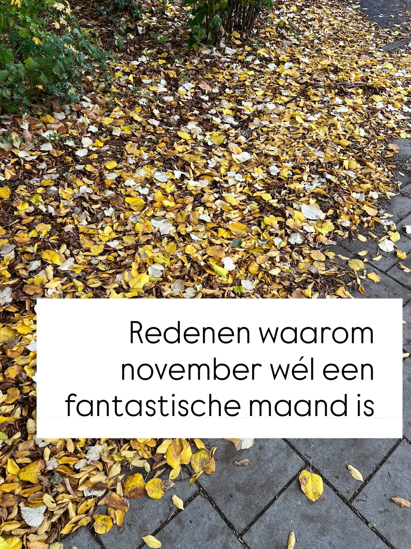 Redenen waarom november w&eacute;l een fantastische maand is:

Ik weet het. November is bij veel mensen niet zo geliefd. Het is donker. Het regent vaak. Het is druk. 

Maar mijn bekentenis van vandaag: ik heb zin in november. Want ik houd van novembe