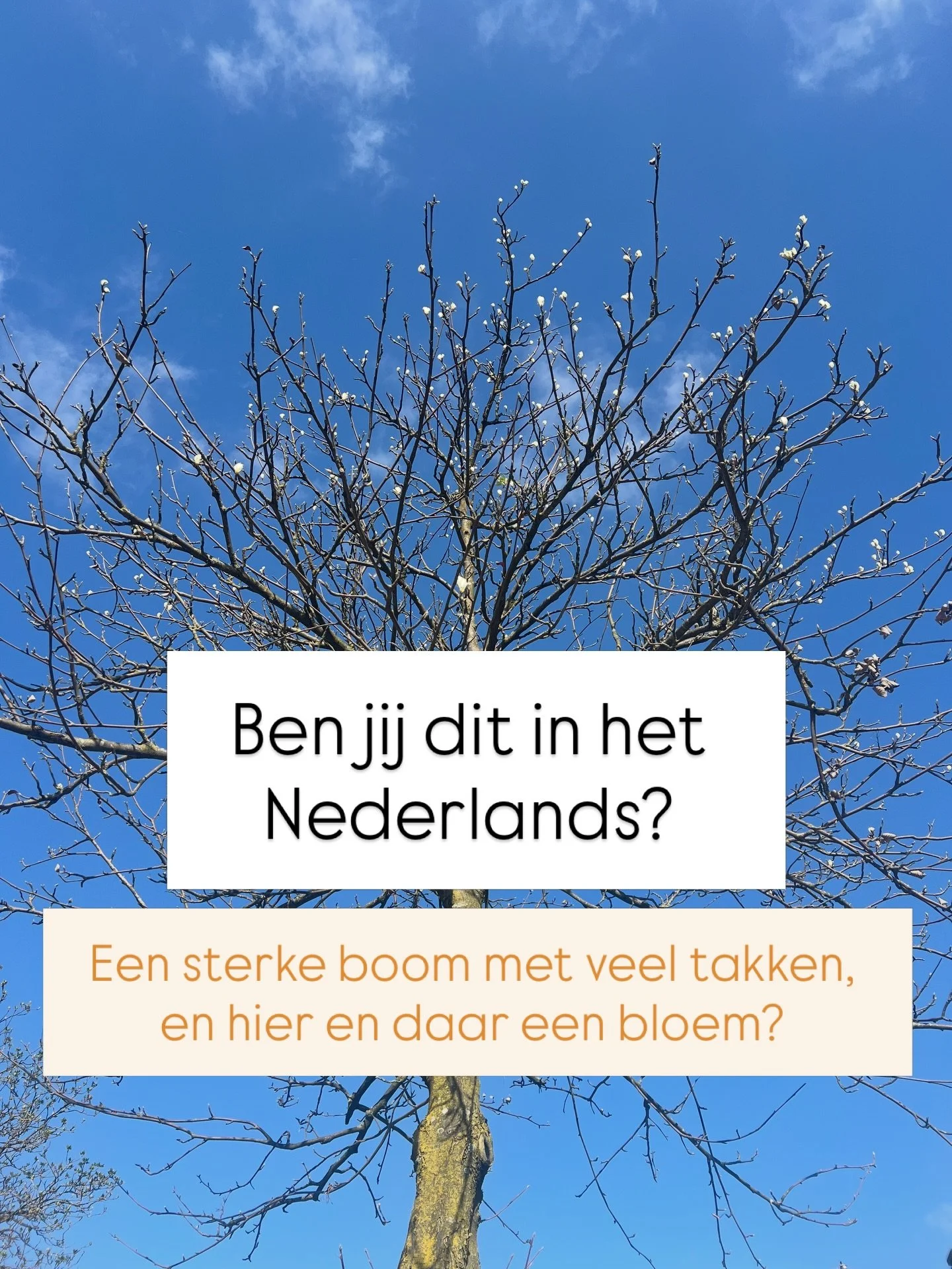 Welkom in mijn hoofd: ik vergelijk bloeiende bomen met tweedetaalsprekers. (En ik vind het nog een goede vergelijking ook 😅)

Stap voor stap. 
Neem je tijd. 
Iedereen heeft een eigen tempo. 

Zie de bloemen die er al zijn. 
Zie de knoppen die bijna 